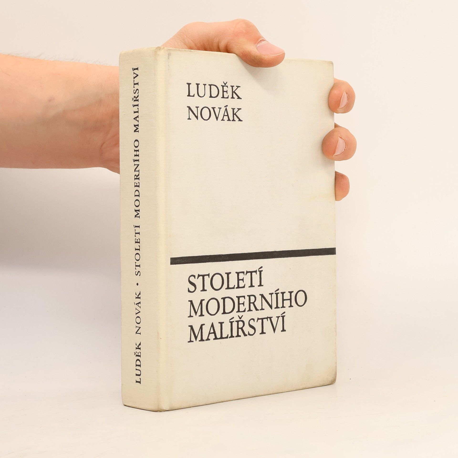 Luděk Novák Století moderního malířství