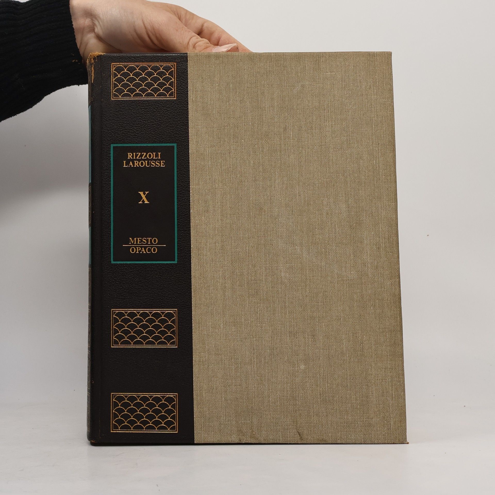 Autorenkollektiv Enciclopedia Universale X.