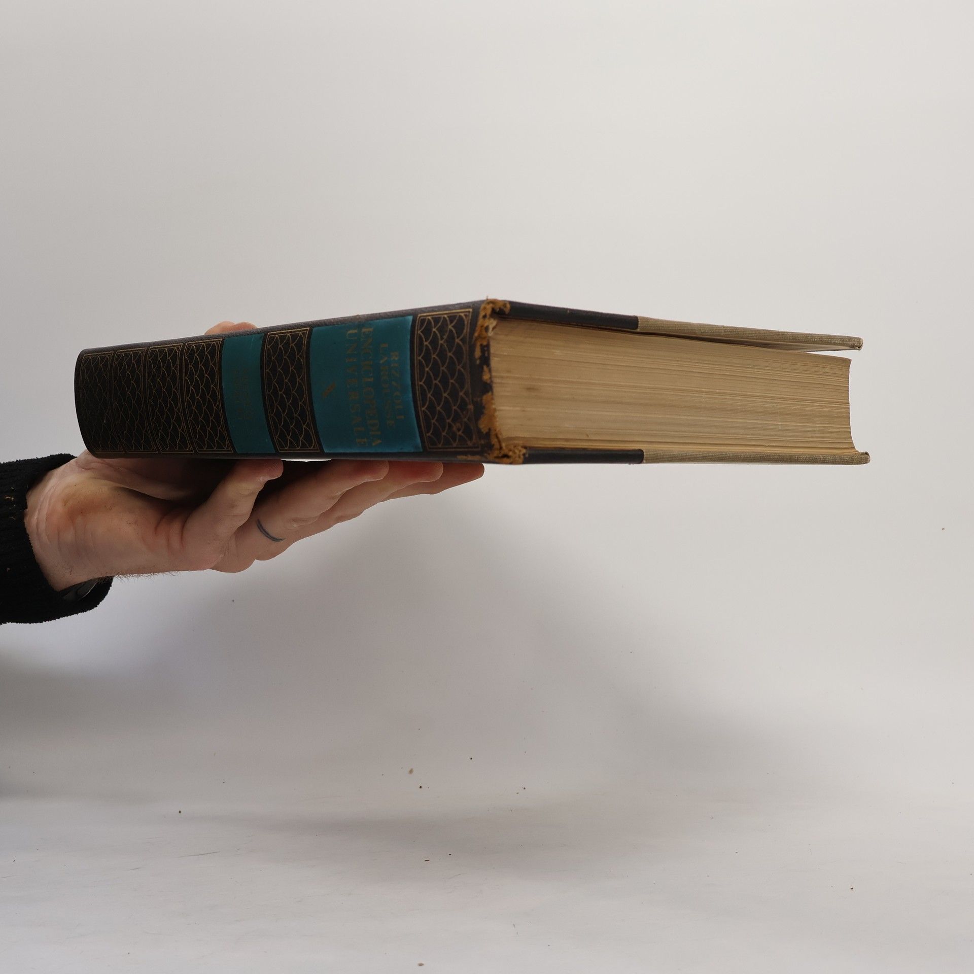 Autorenkollektiv Enciclopedia Universale X.