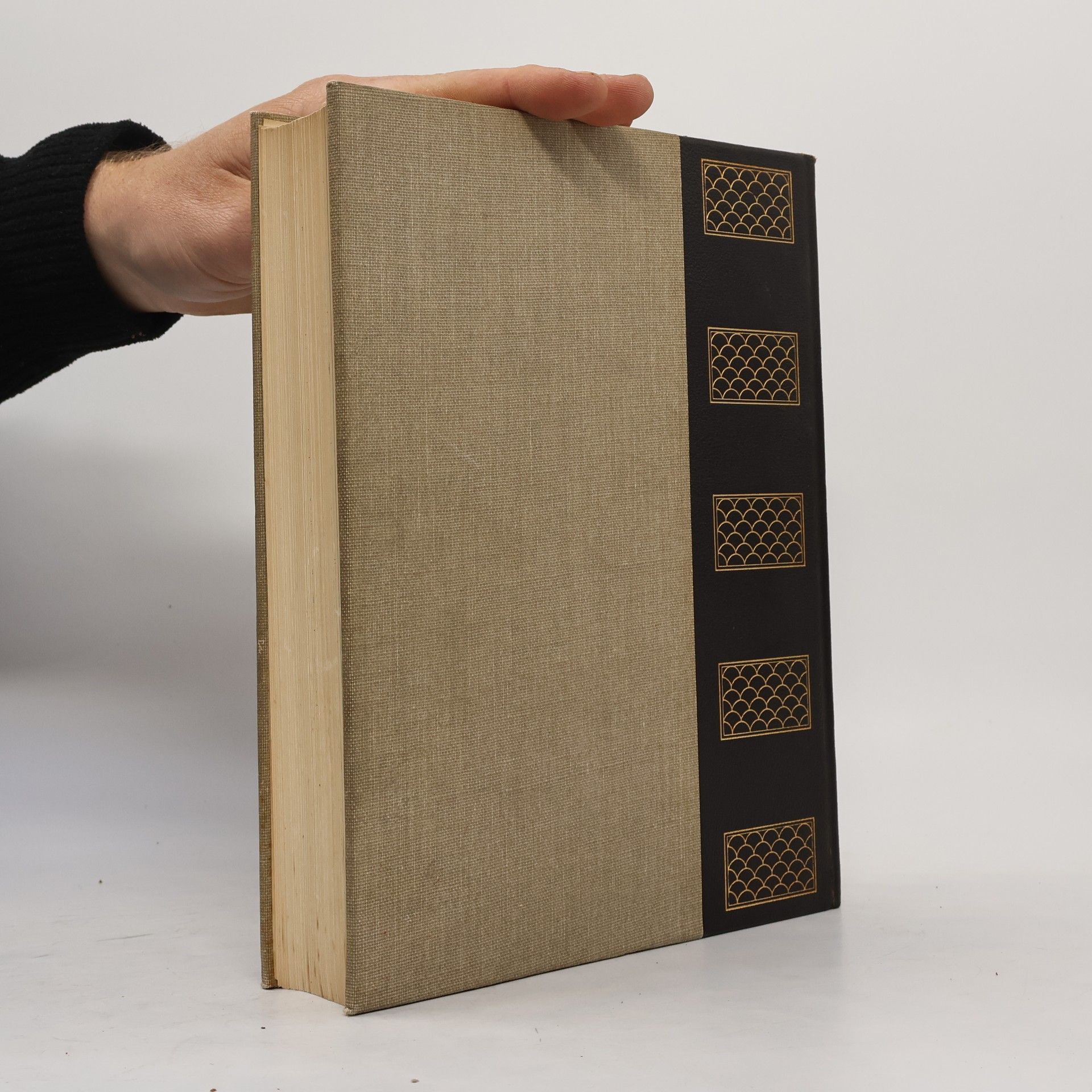 Autorenkollektiv Enciclopedia Universale X.