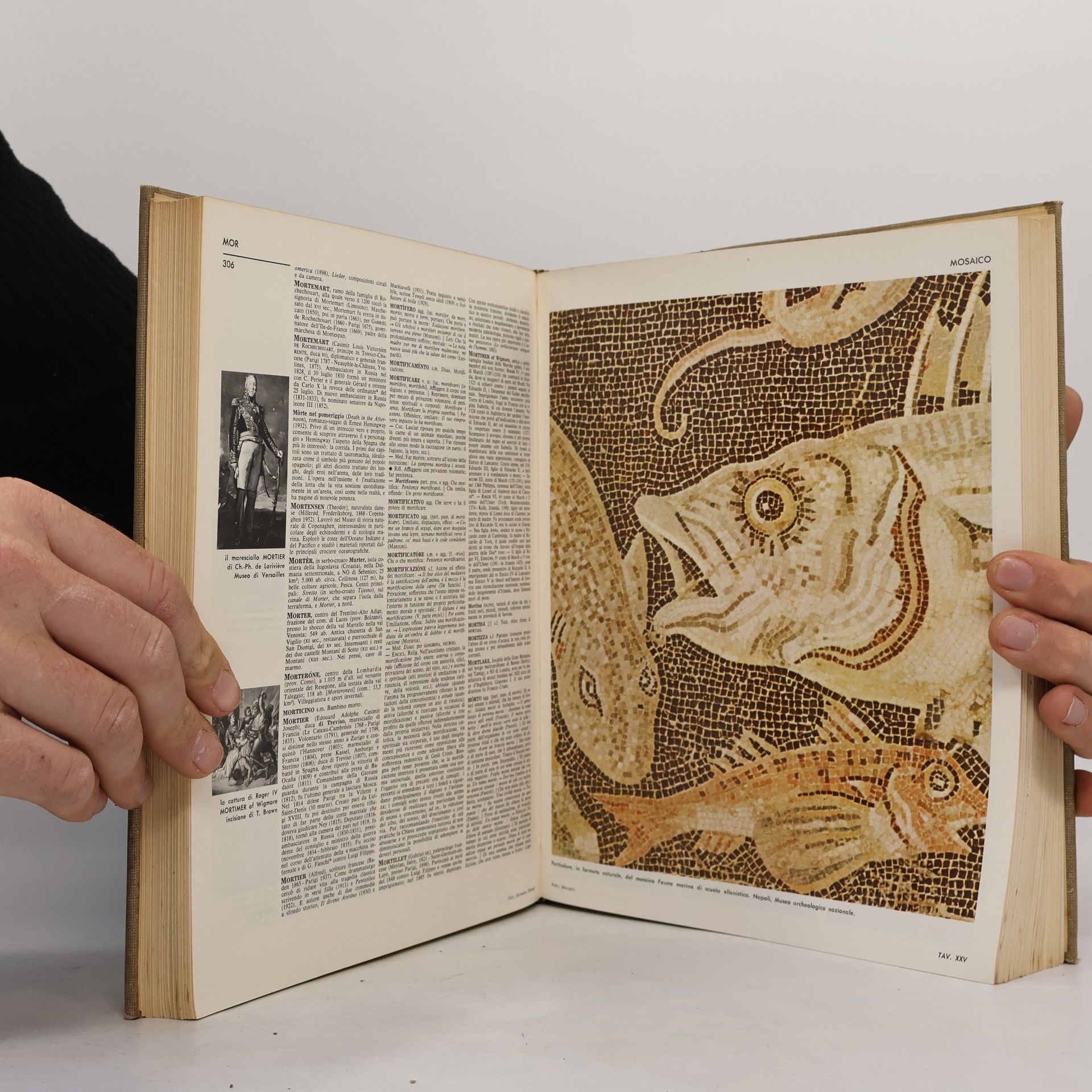 Autorenkollektiv Enciclopedia Universale X.