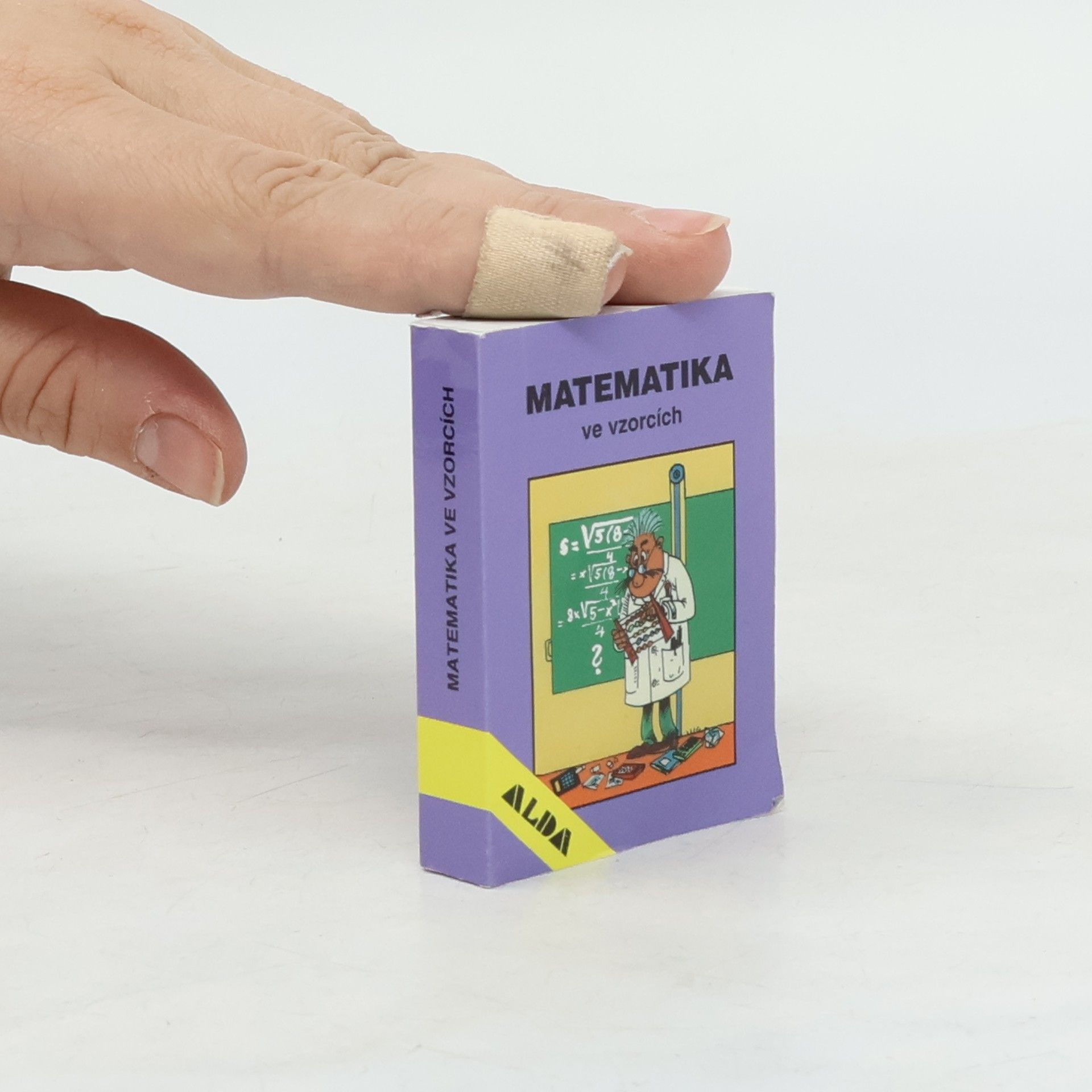 Danuše Pečová Matematika ve vzorcích