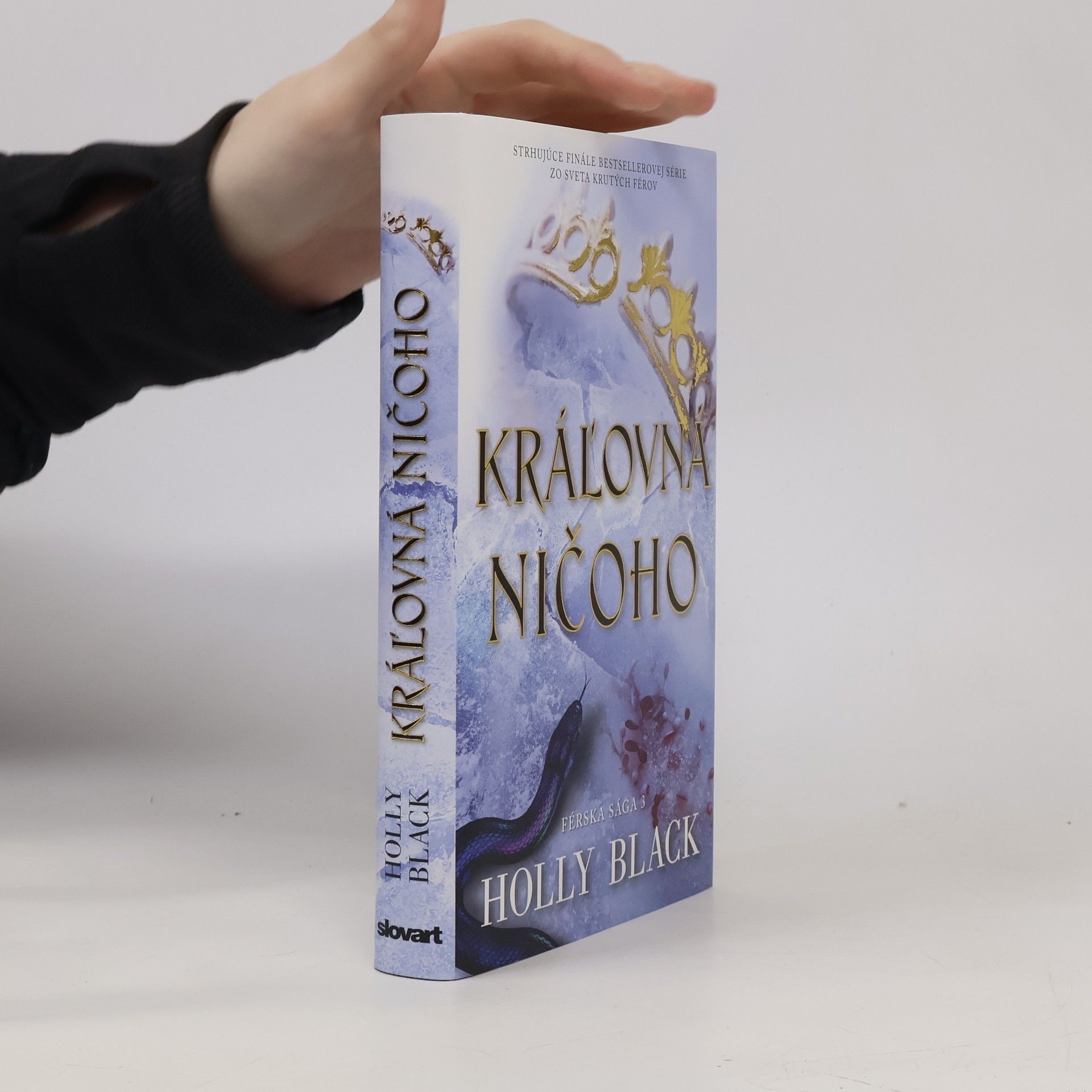 Holly Black Kráľovná ničoho