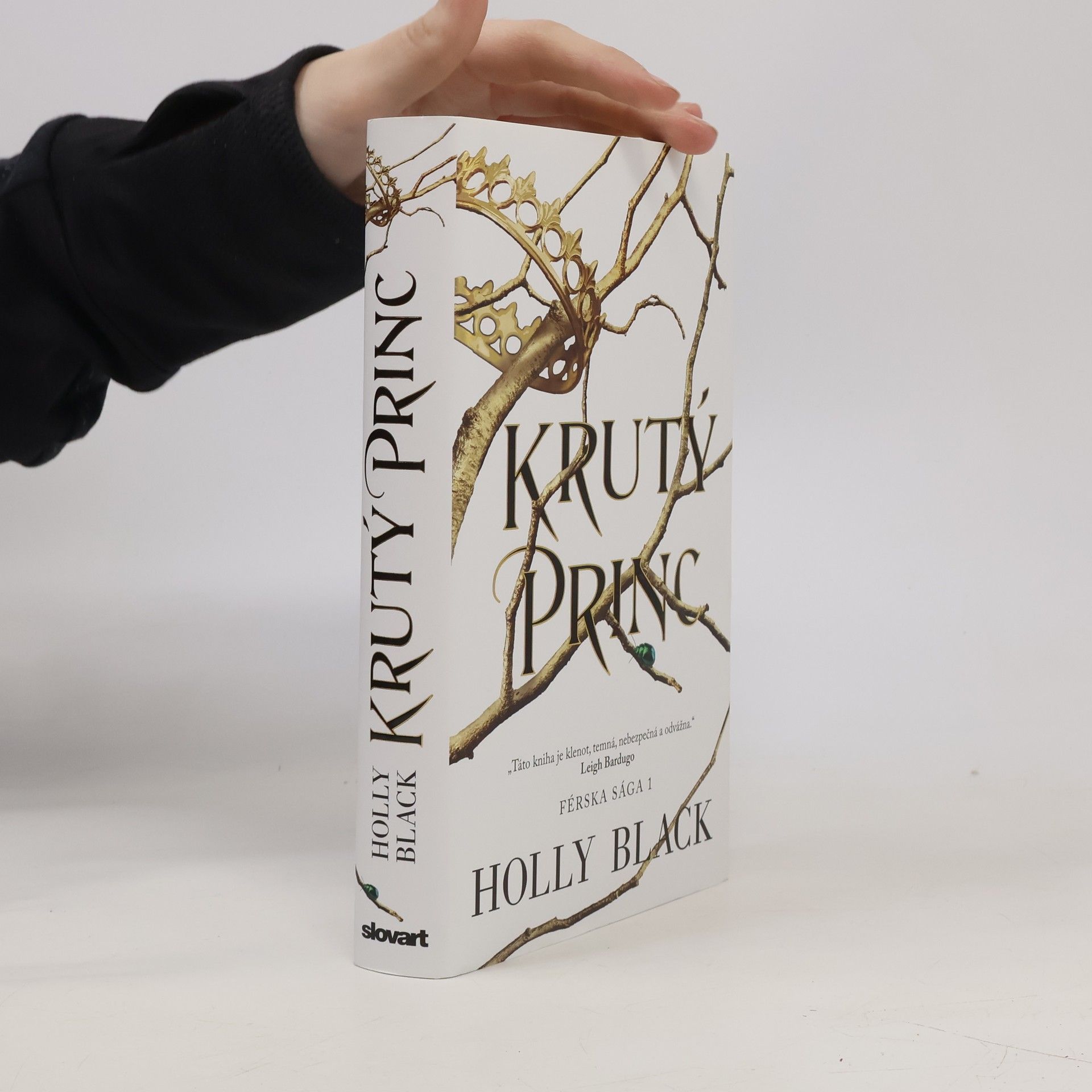 Holly Black Krutý princ