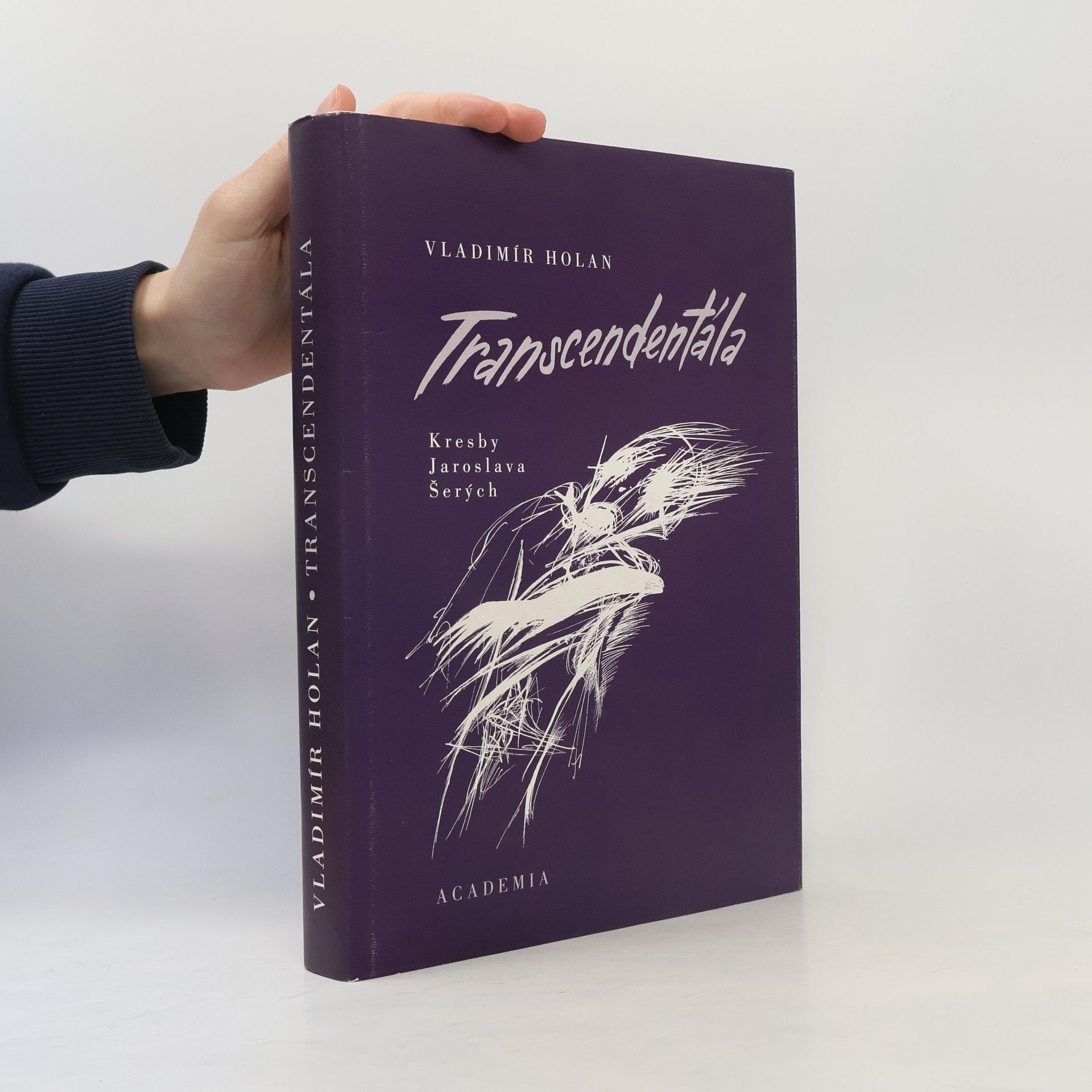 Jaroslav Havel Transcendentála: Výbor z díla