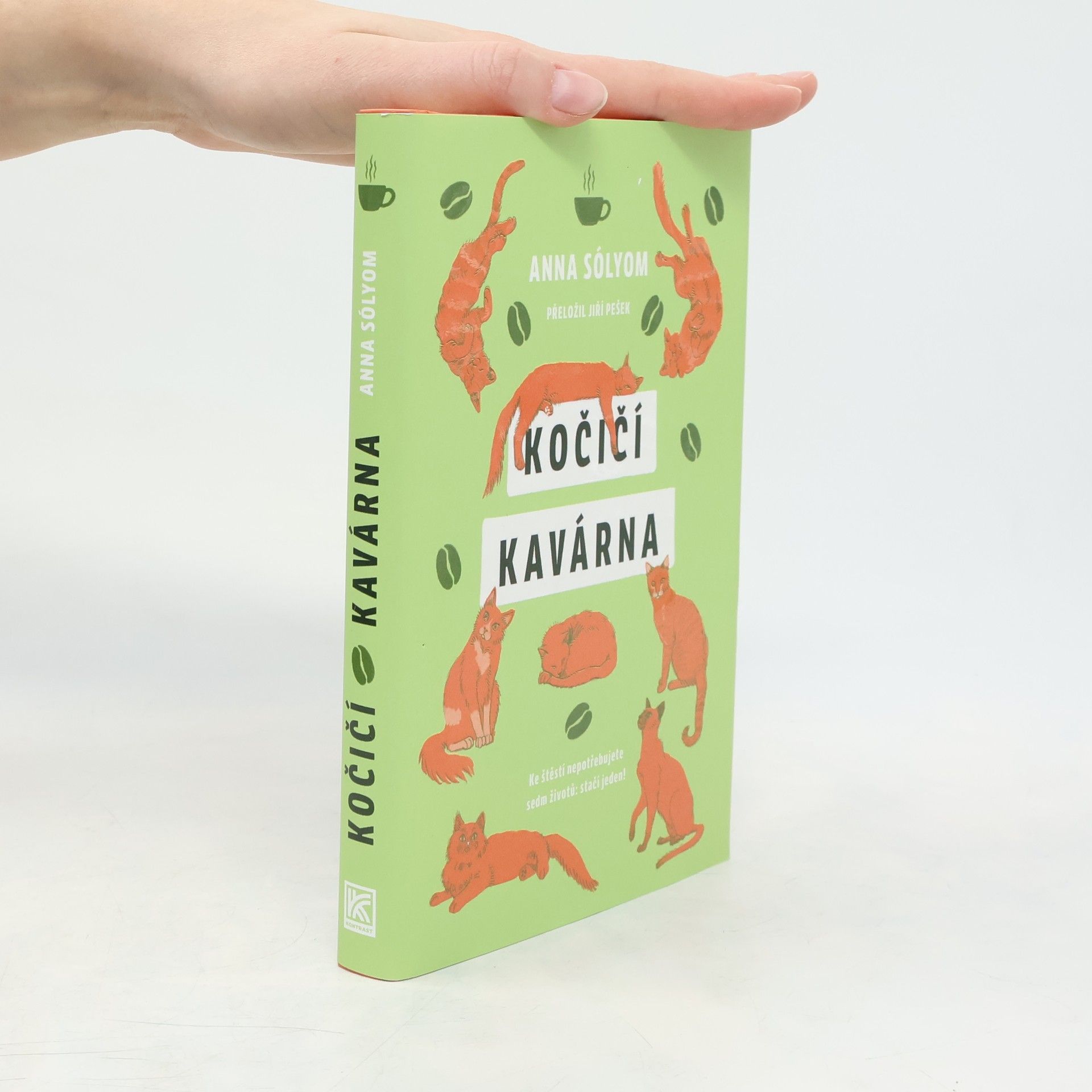 Anna Sólyom Kočičí kavárna