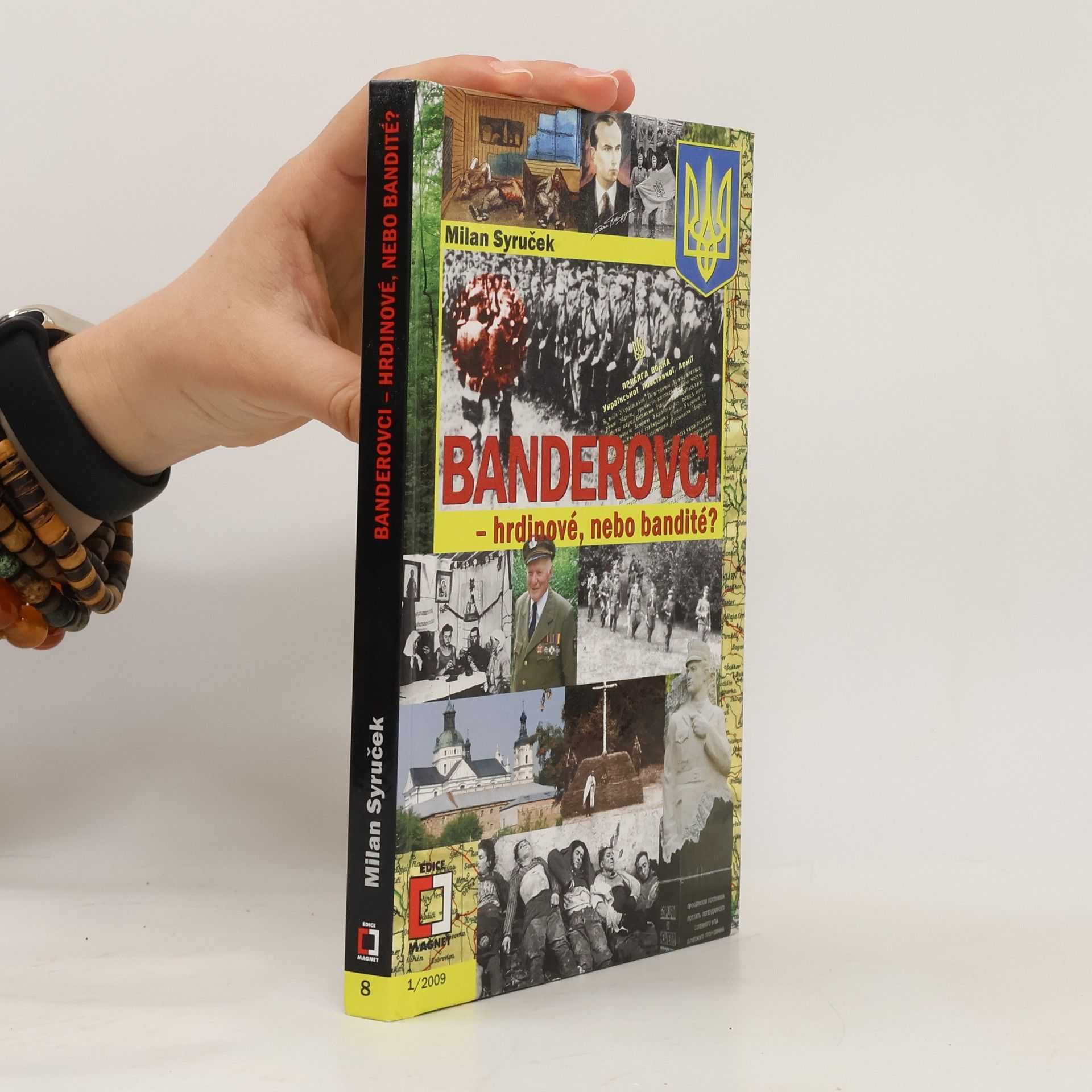 Milan Syruček Banderovci - hrdinové, nebo bandité?