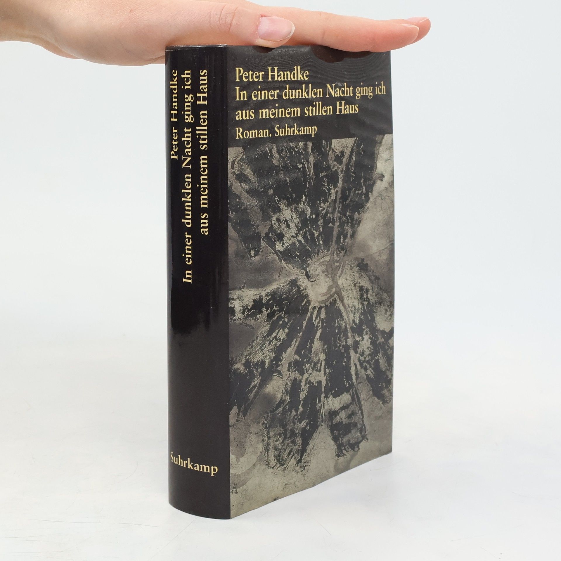 In einer dunklen Nacht ging ich aus meinem stillen Haus