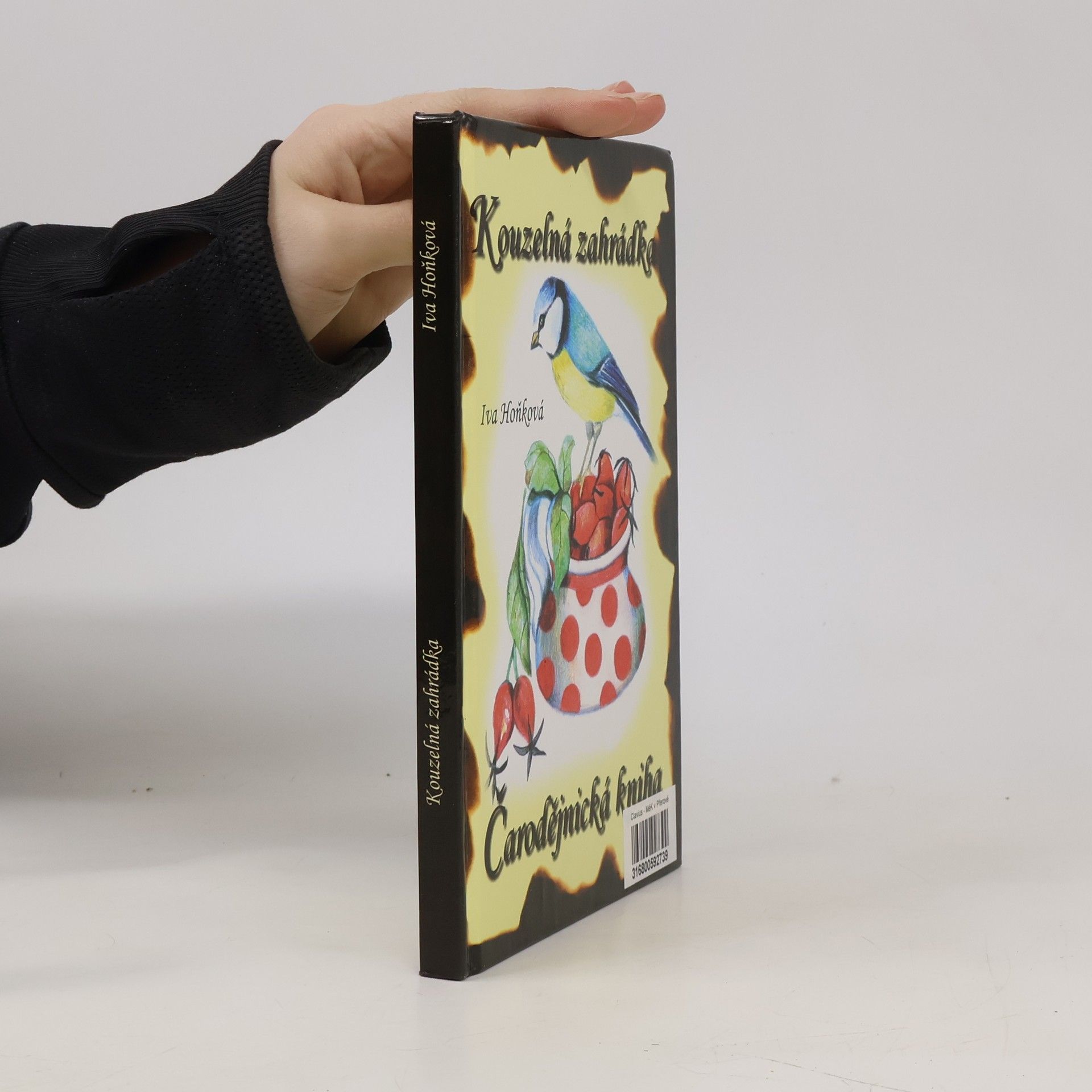 Iva Hoňková Čarodějnická kniha -Kouzelná zahrádka