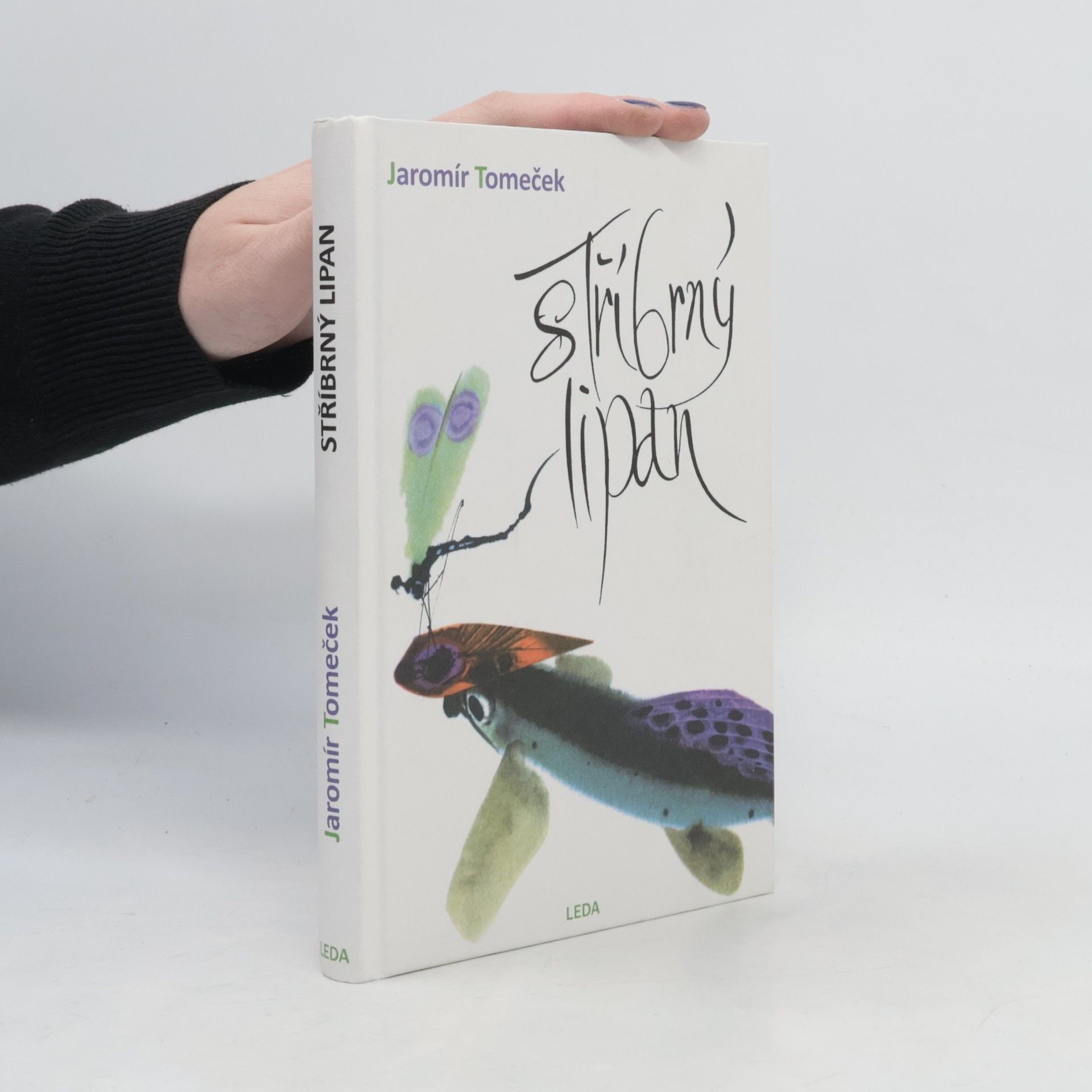 Jaromír Tomeček Stříbrný lipan