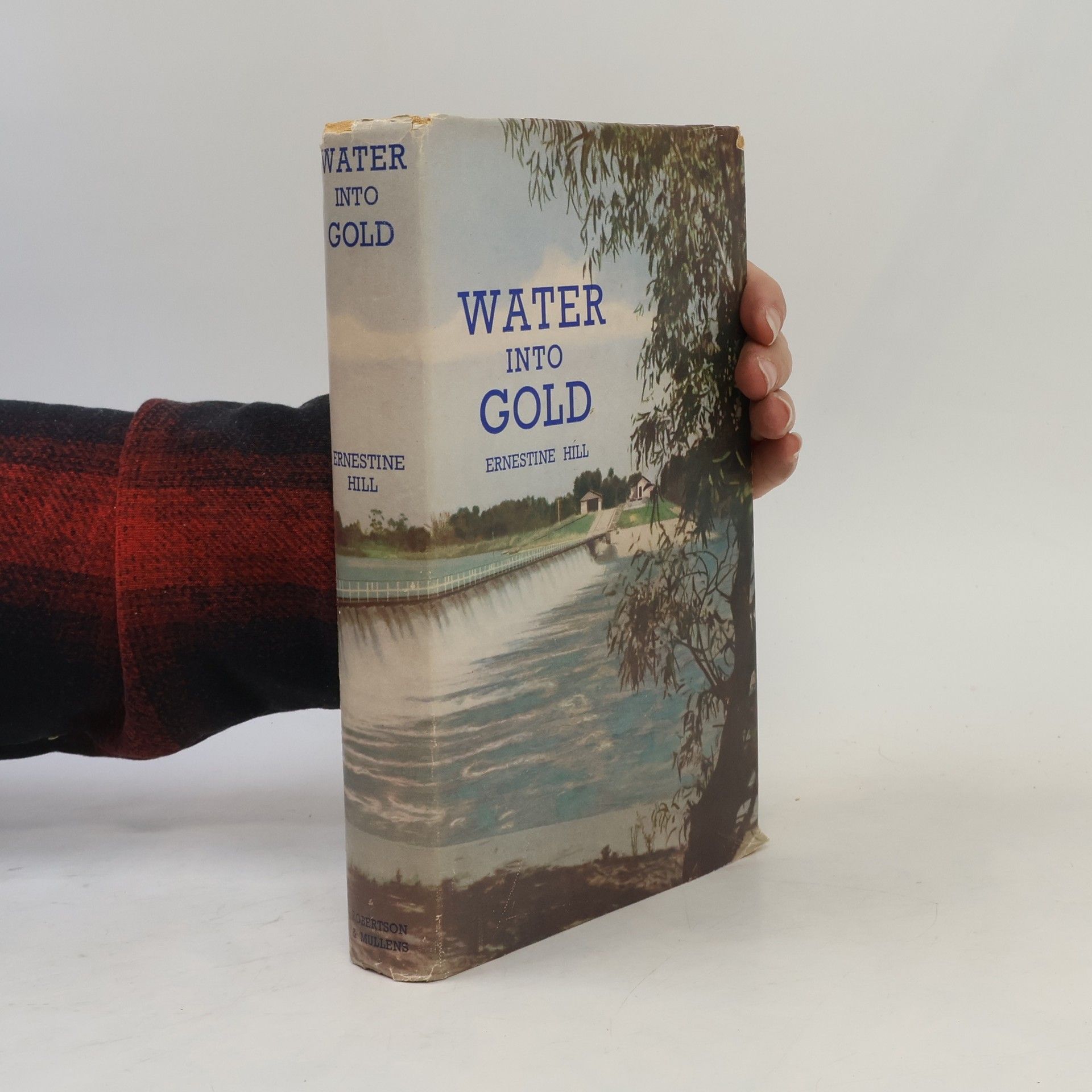 Ernestine Hemmings Hill Water into Gold