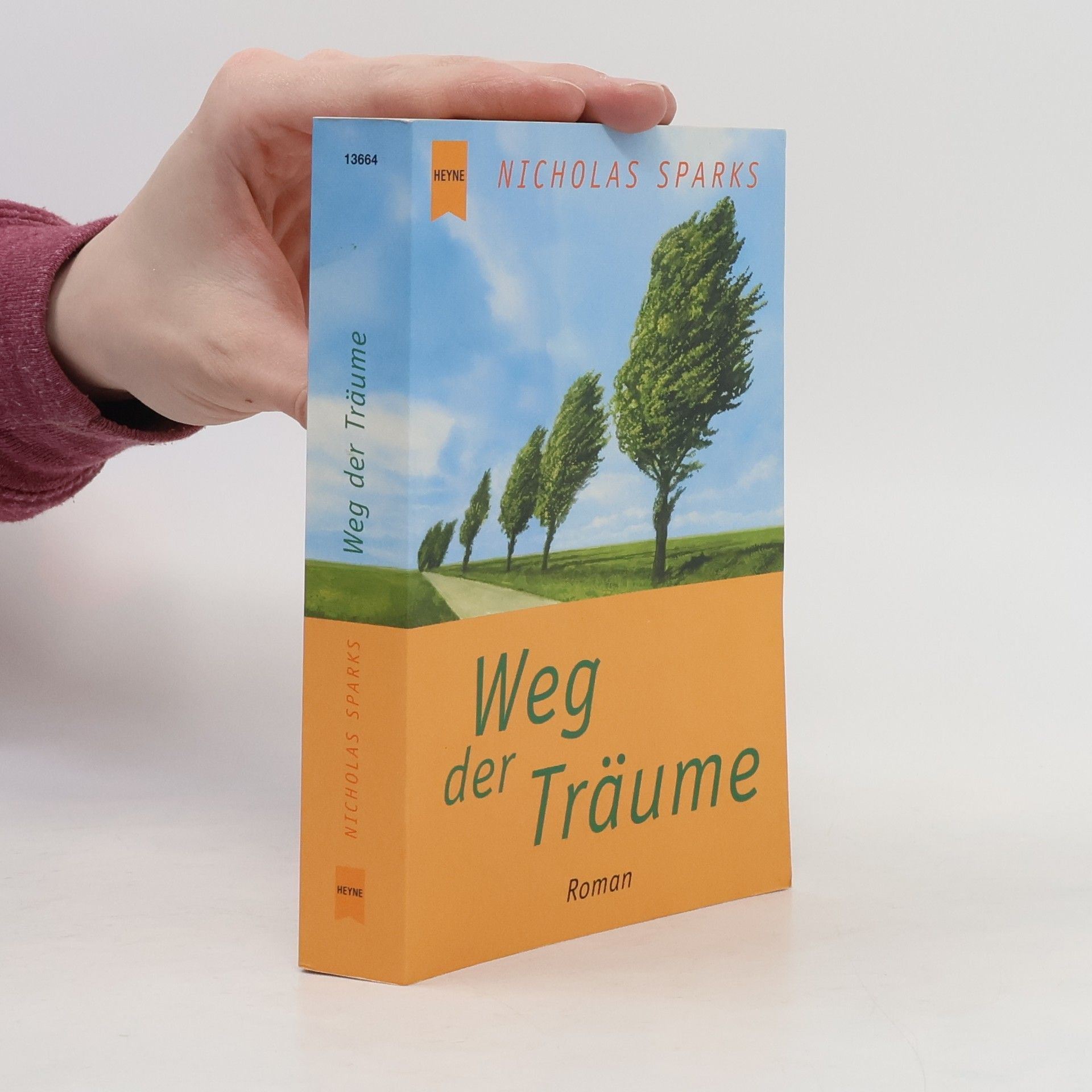 Nicholas Sparks Weg der Träume