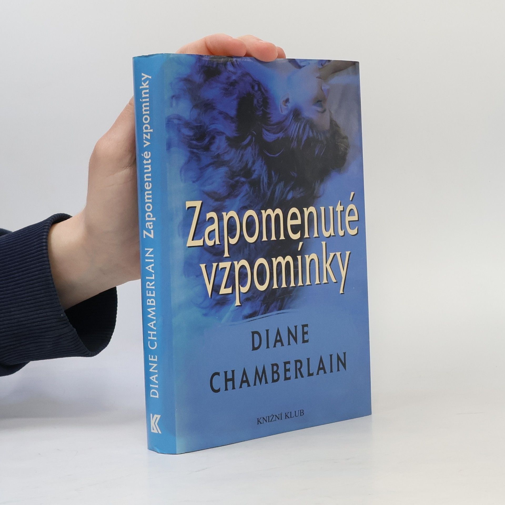 Diane Chamberlain Zapomenuté vzpomínky