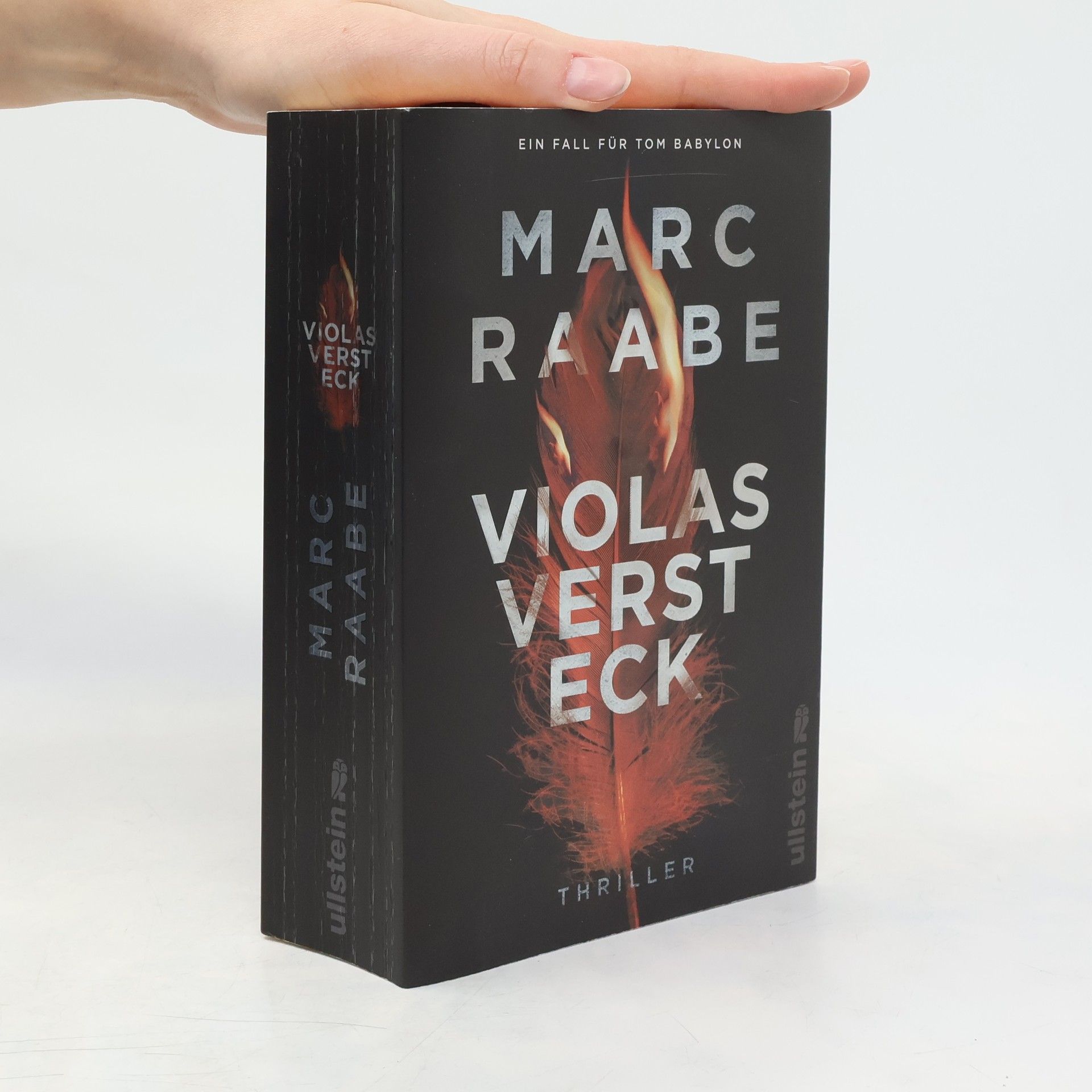 Marc Raabe Violas Versteck