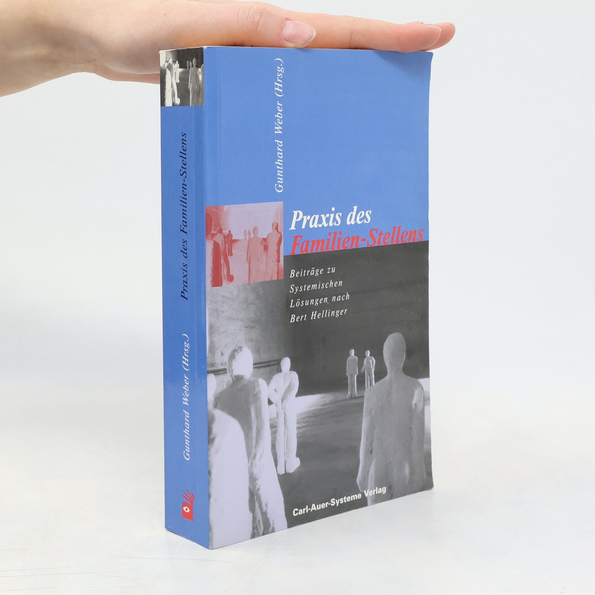 Gunthard Weber Praxis des Familien-Stellens