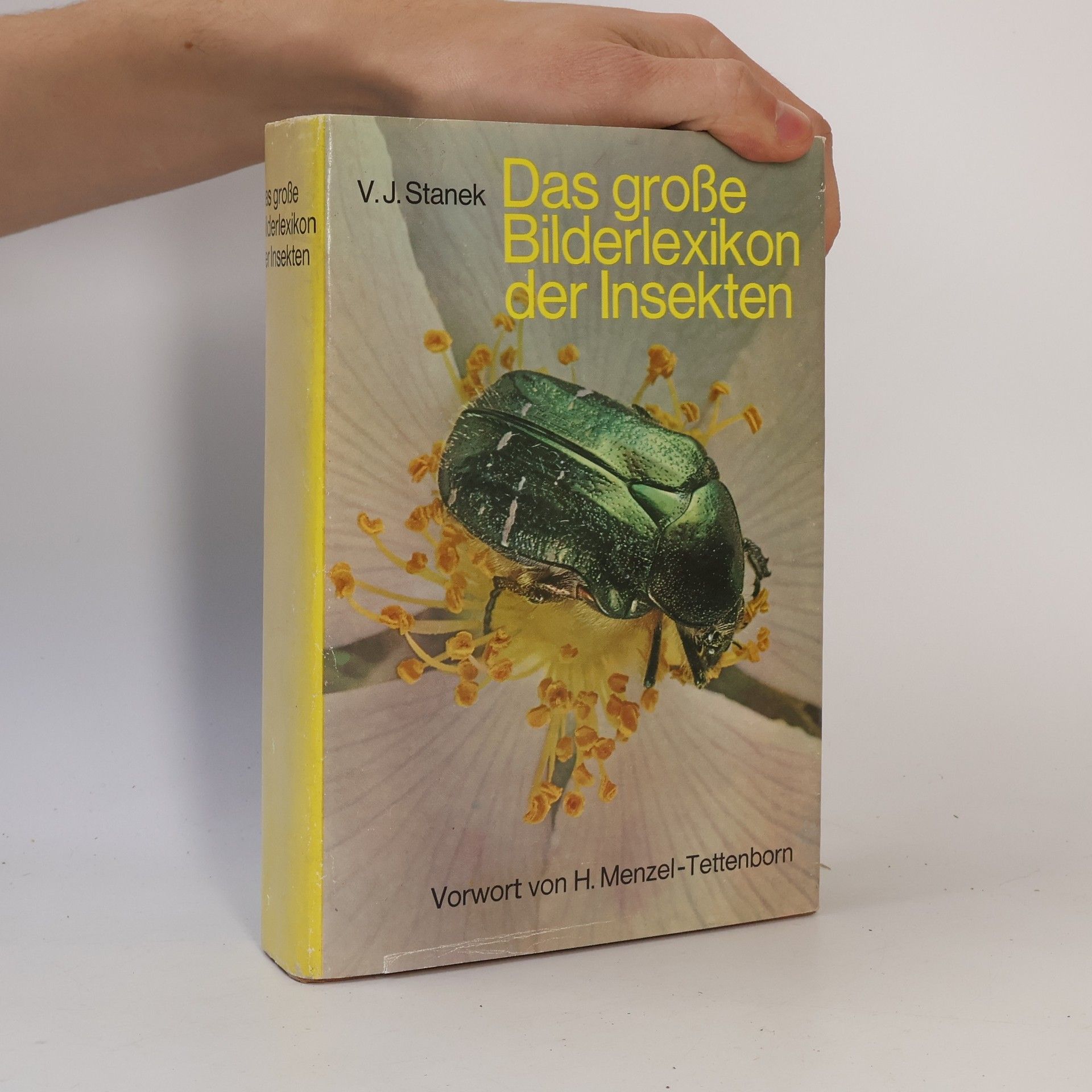 Das große Bilderlexikon der Insekten