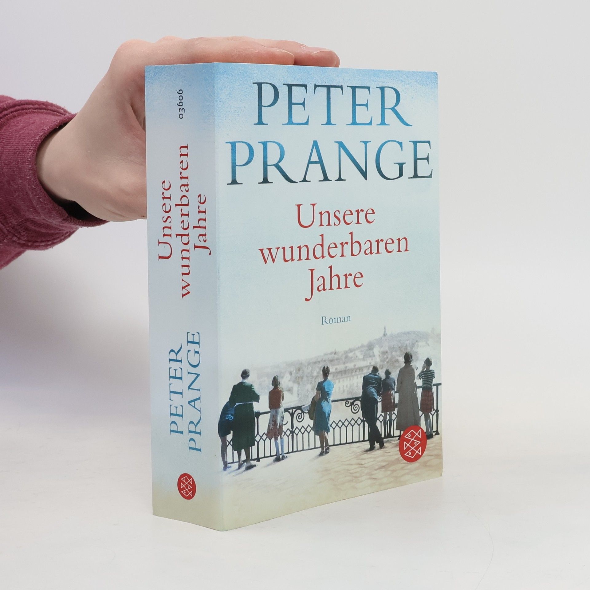 Peter Prange Unsere wunderbaren Jahre