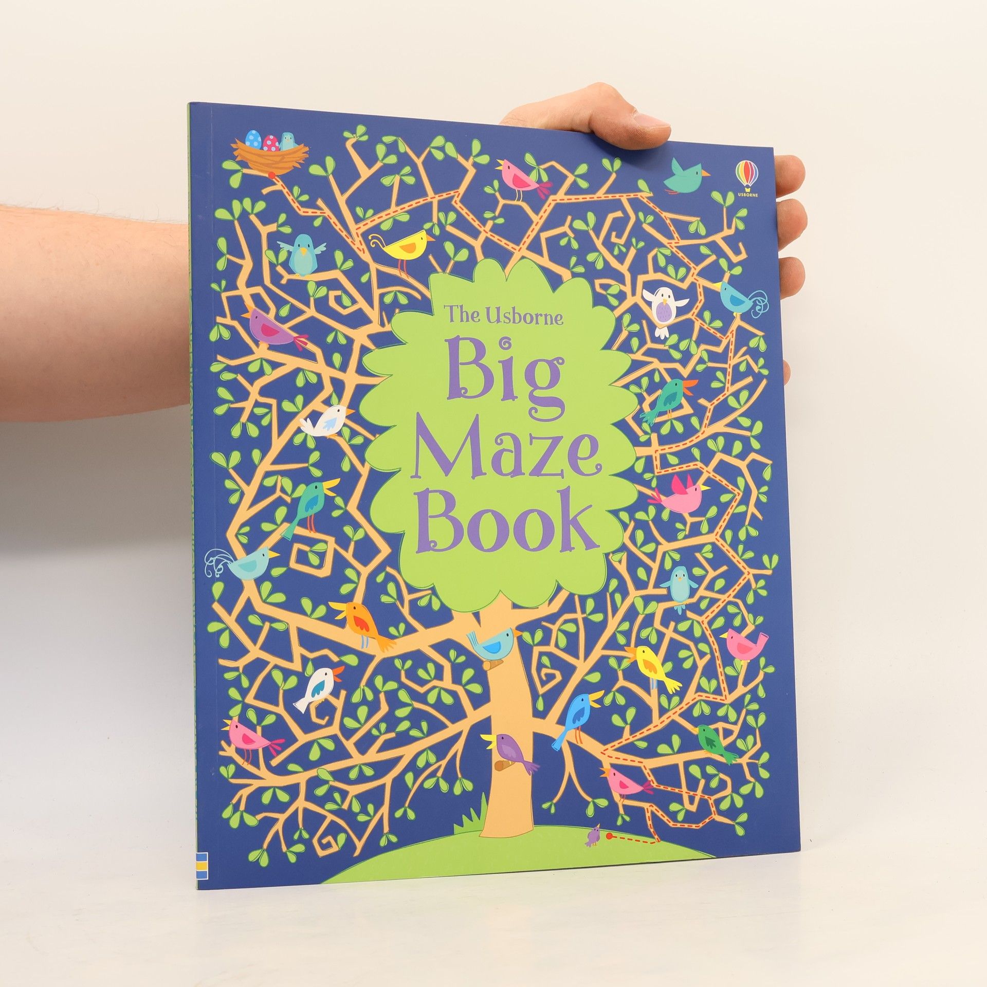 Nayera Everall The Usborne Big Maze Book