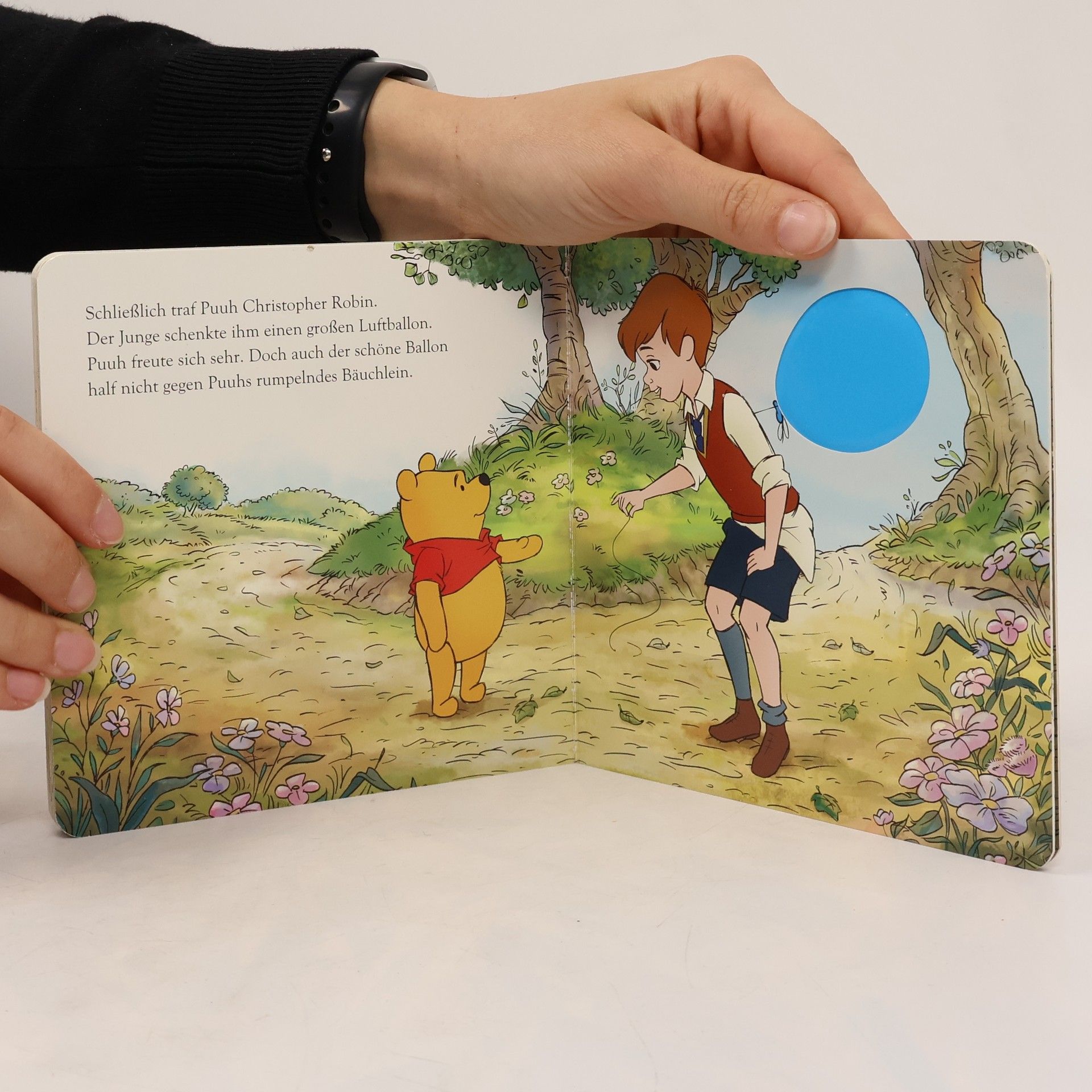 Disney Winnie Puuh: Honig für Winnie Puuh - Mein Fühlbuch
