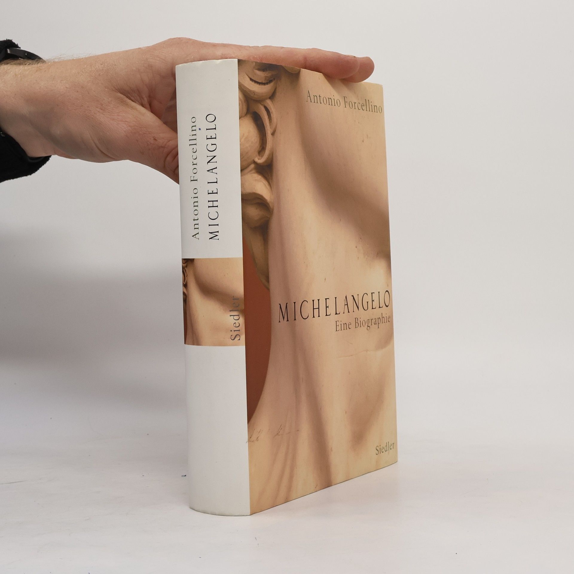 Antonio Forcellino Michelangelo