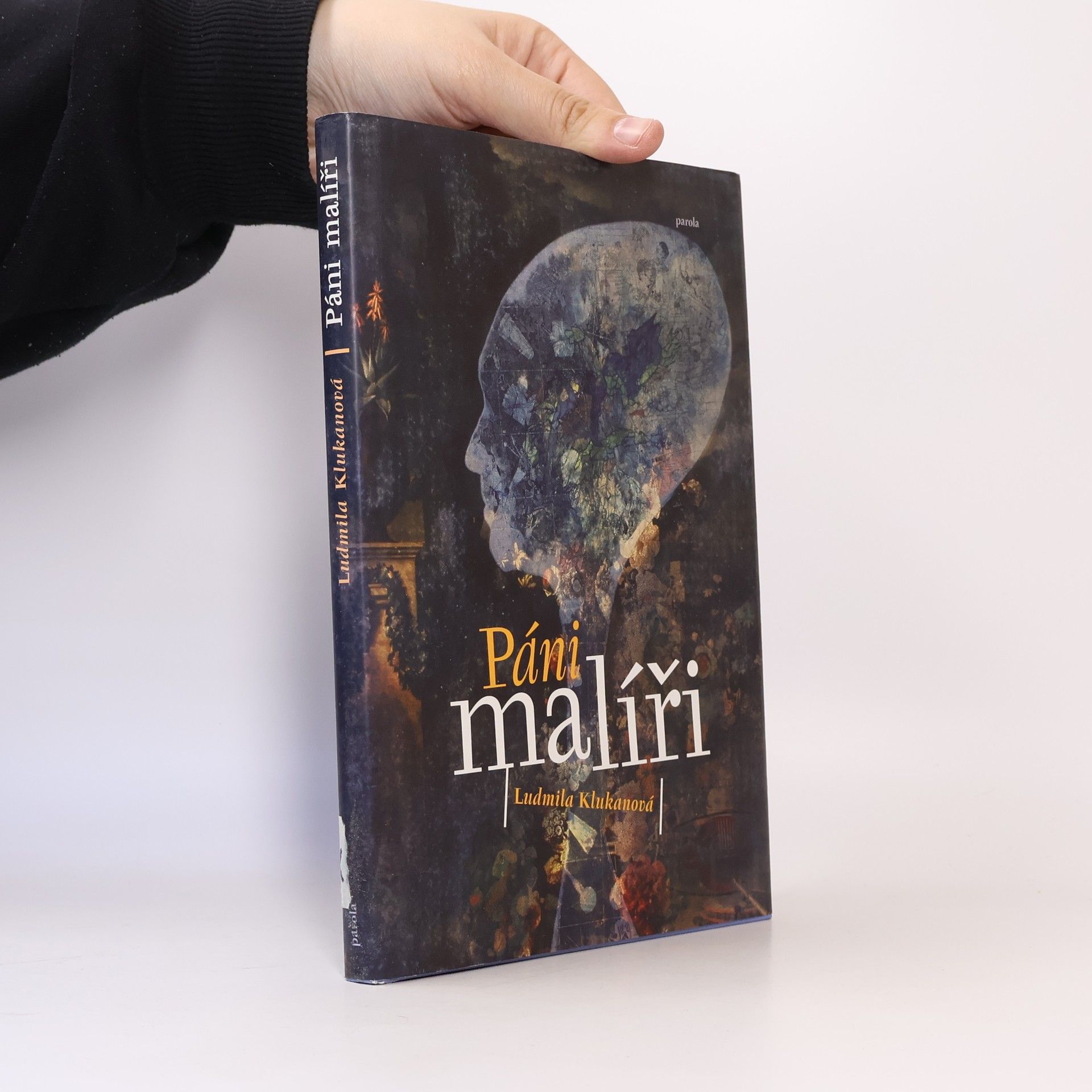 Ludmila Klukanová Páni malíři