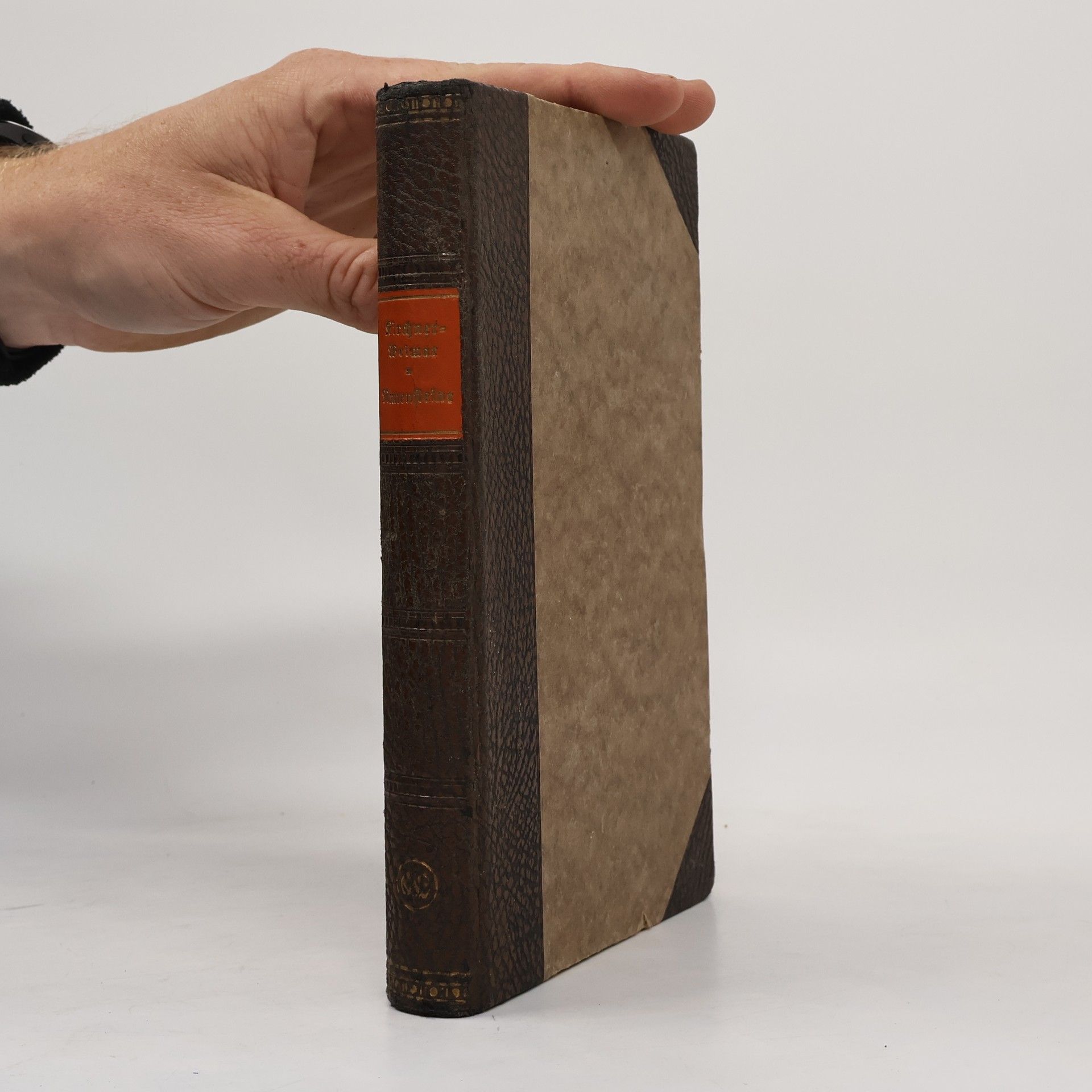 Karl Kirchner-Weimar Runensteine. Literarische Charakterbilder aus dem 19. Jahrhundert