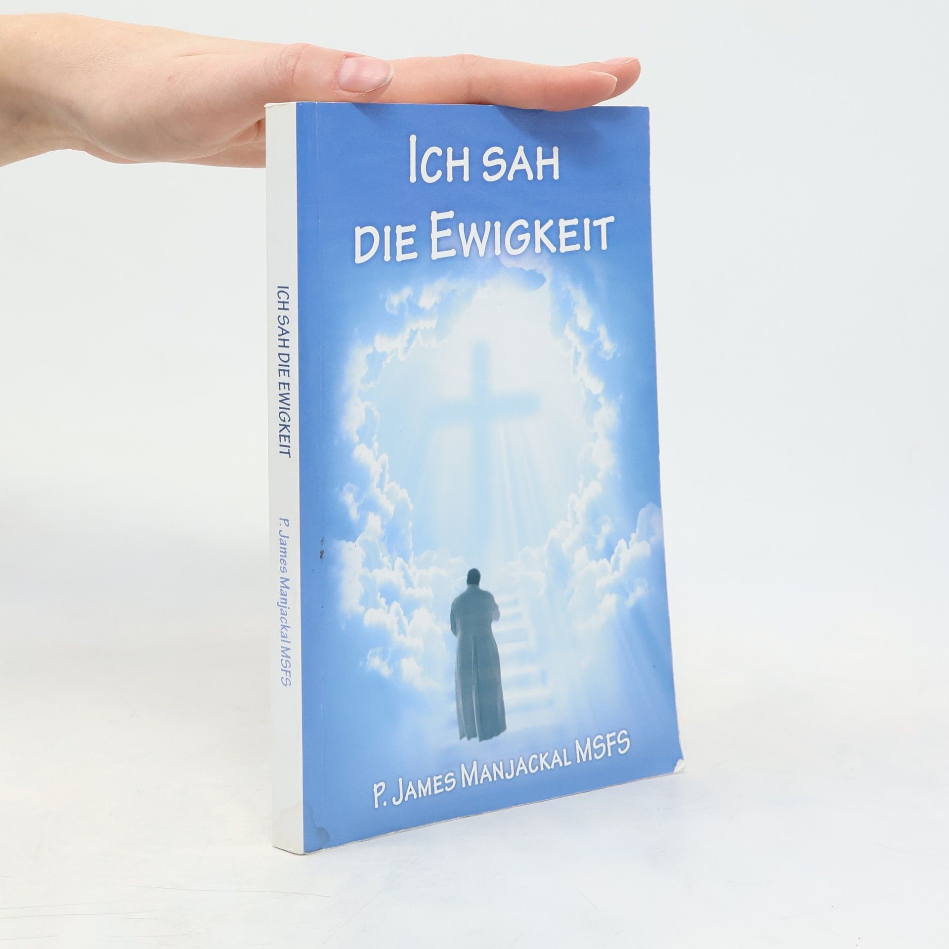 P. James Manjackal MSFS Ich sah die Ewigkeit