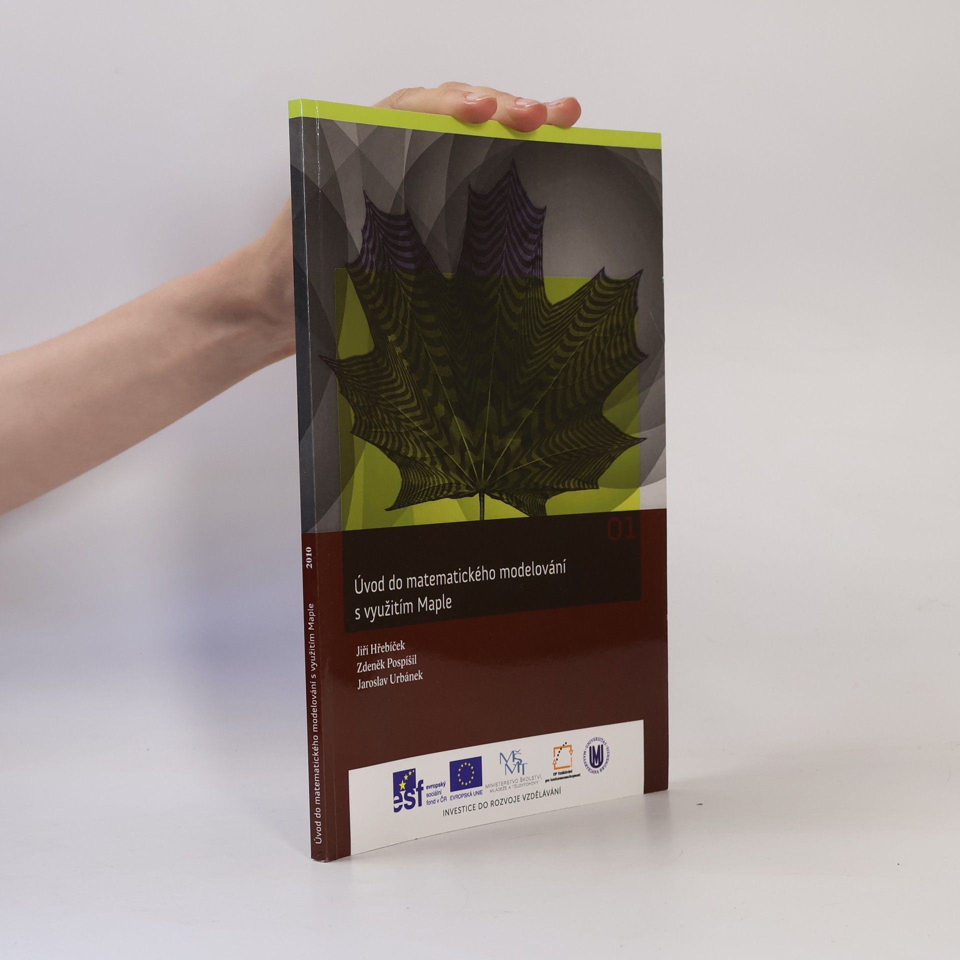 Úvod do matematického modelování s využitím Maple