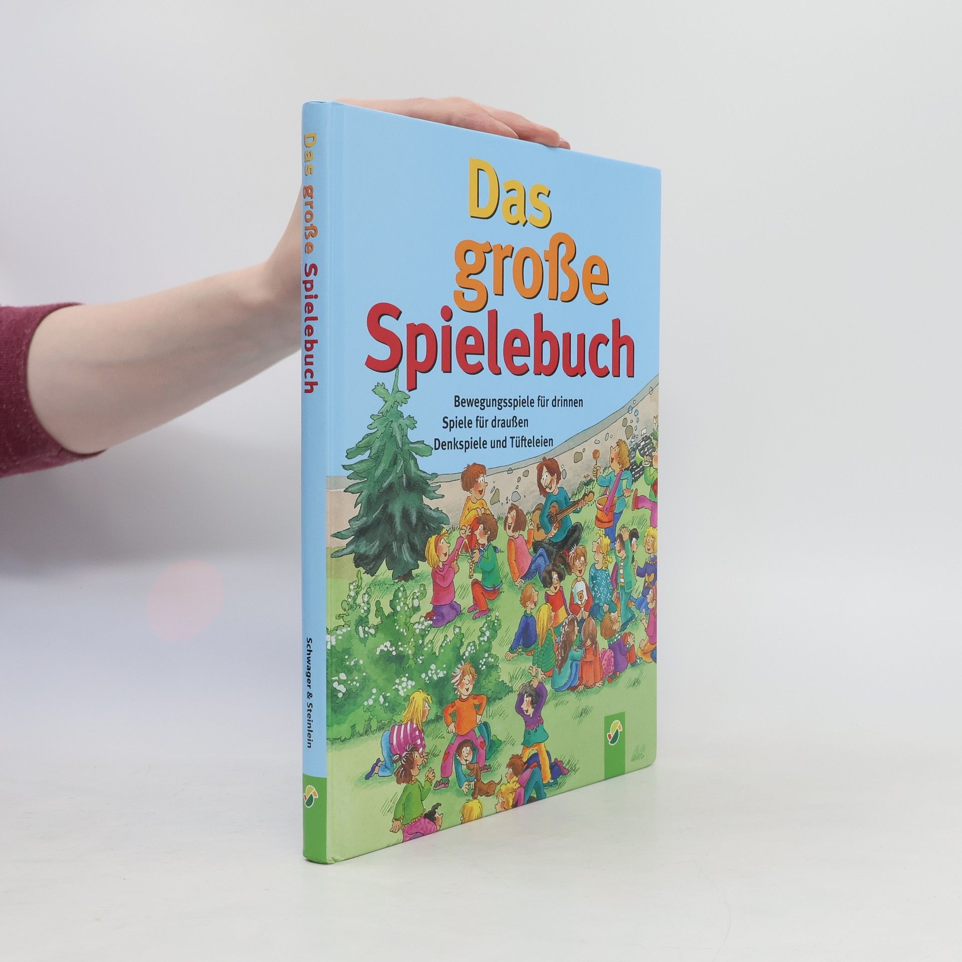 Kolektiv autorů Das grosse spielbuch