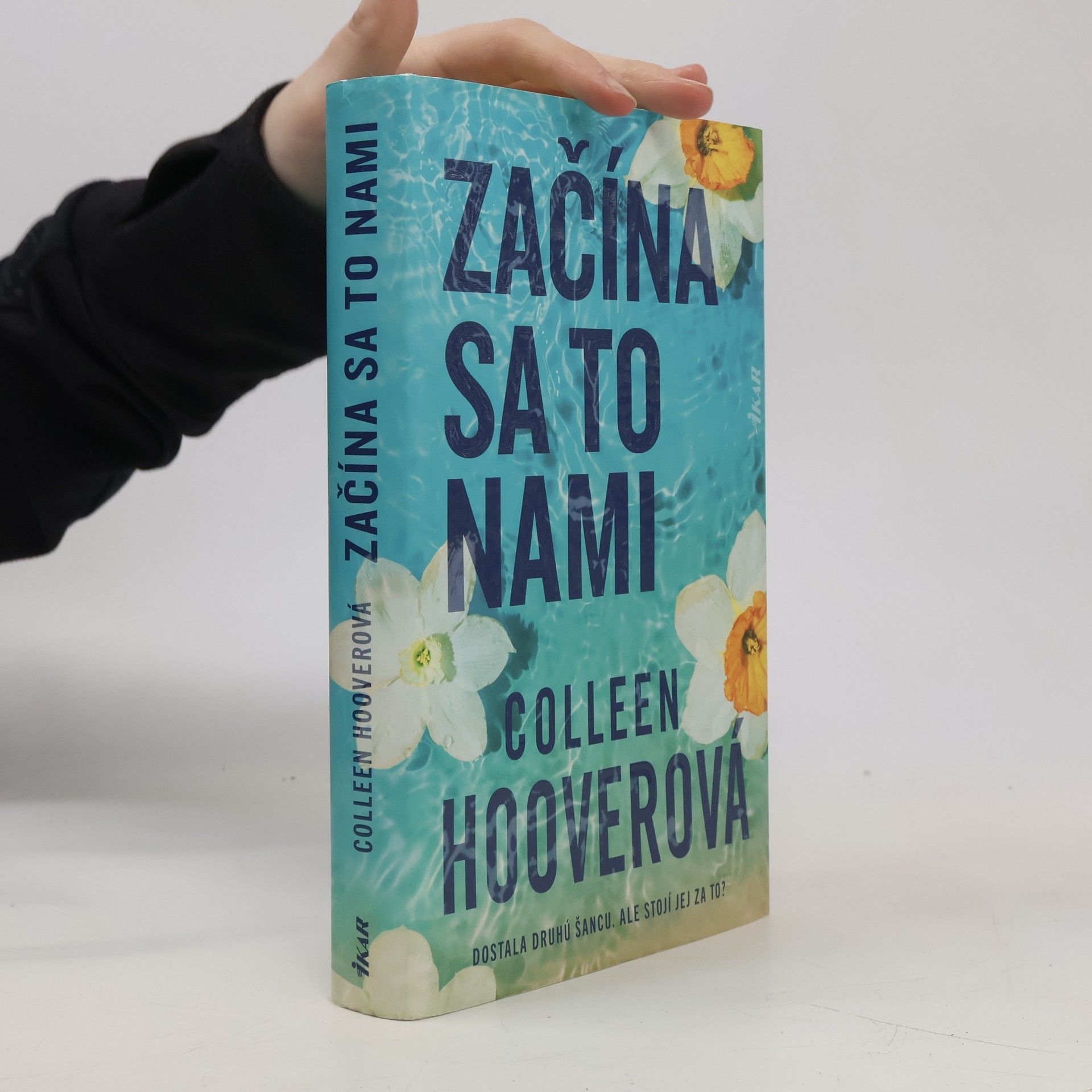 Colleen Hoover Začína sa to nami