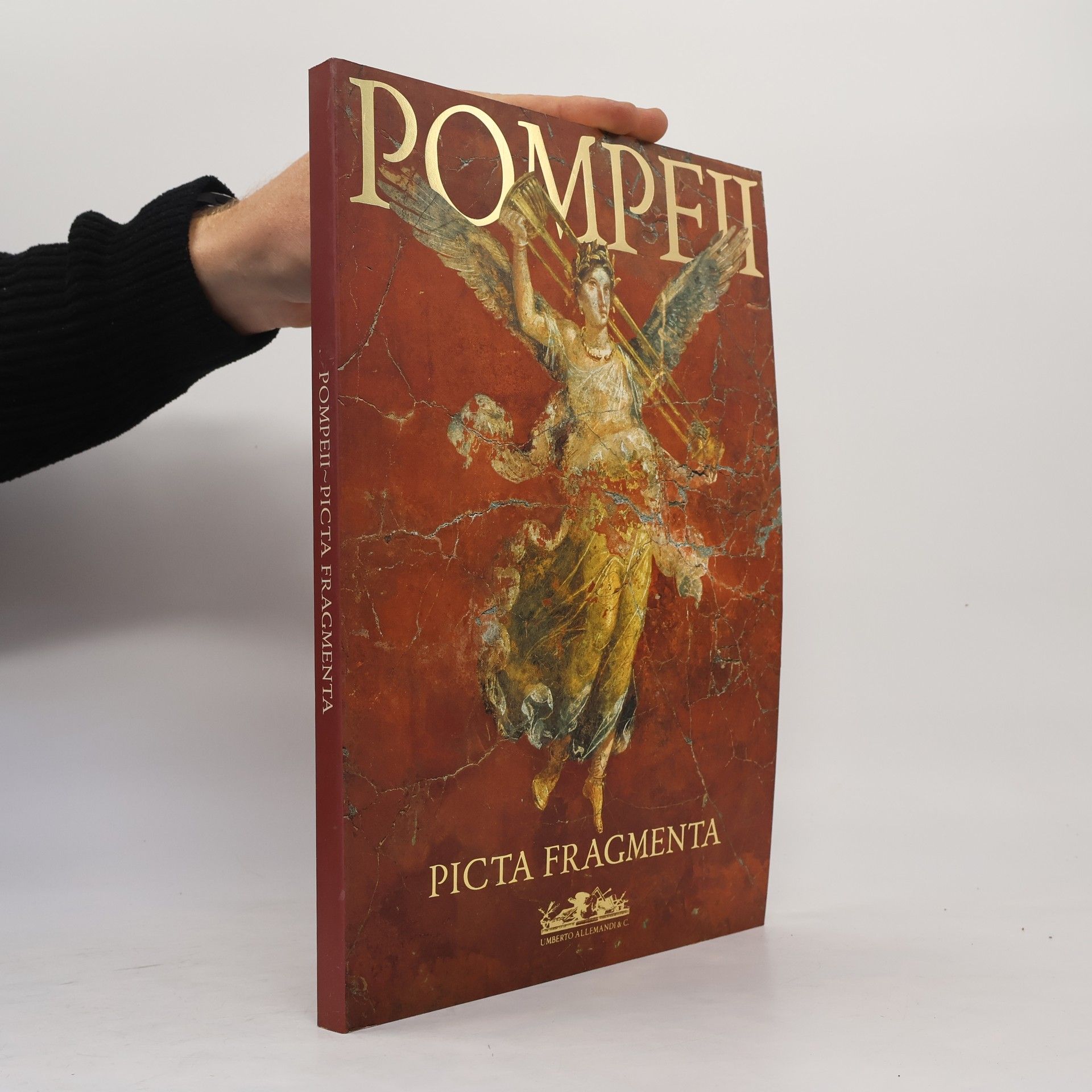 Autorenkollektiv Pompeii: Picta Fragmenta