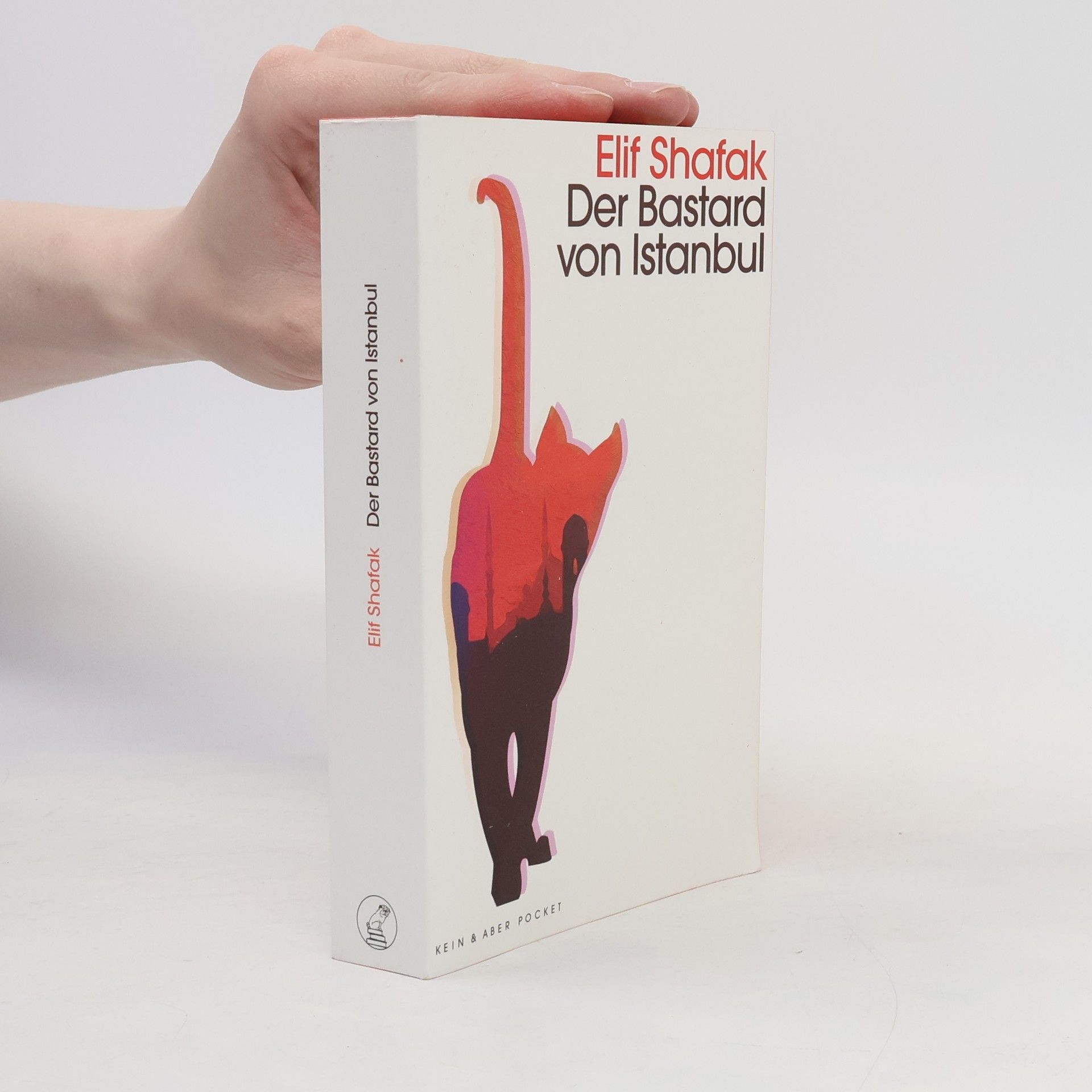 Elif Shafak Der Bastard von Istanbul