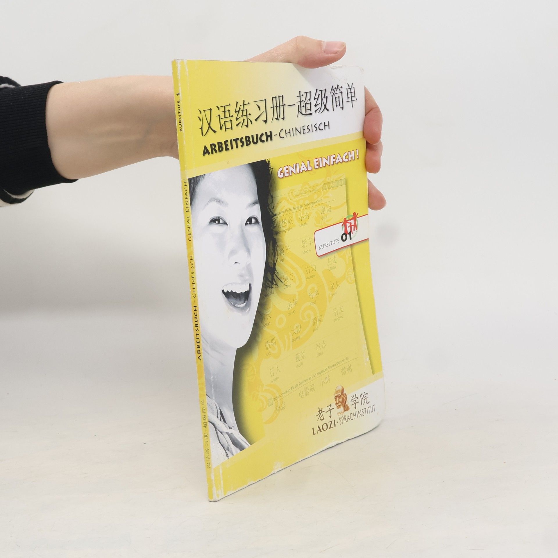 Kolektiv autorů 汉 语 练 习 册 - 超 级 简 单  / Arbeitsbuch - Chinesisch