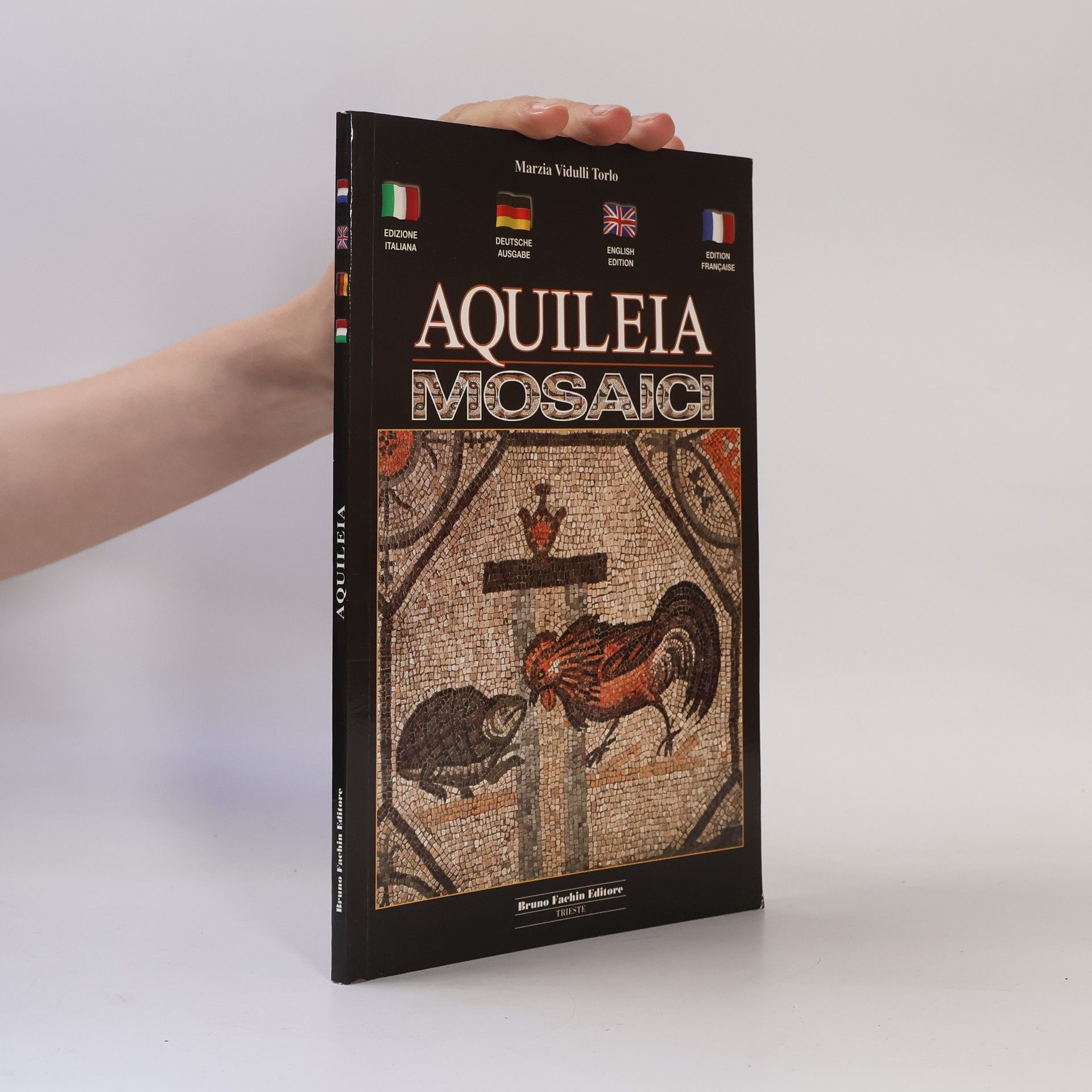 Marzia Vidulli Torlo Aquileia. Mosaici