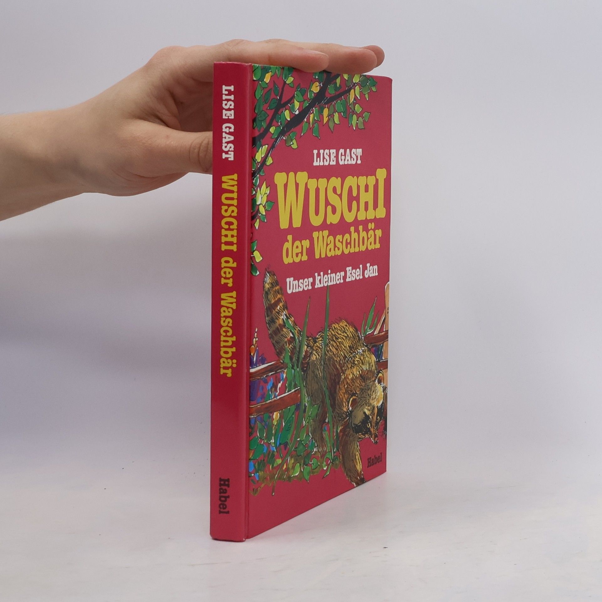 Lise Gast Wuschi der Waschbär