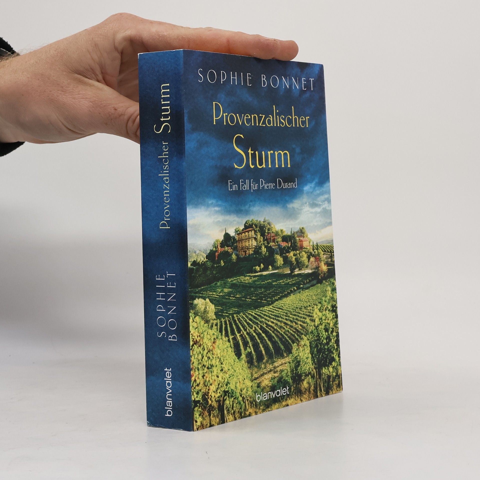 Sophie Bonnet Provenzalischer Sturm