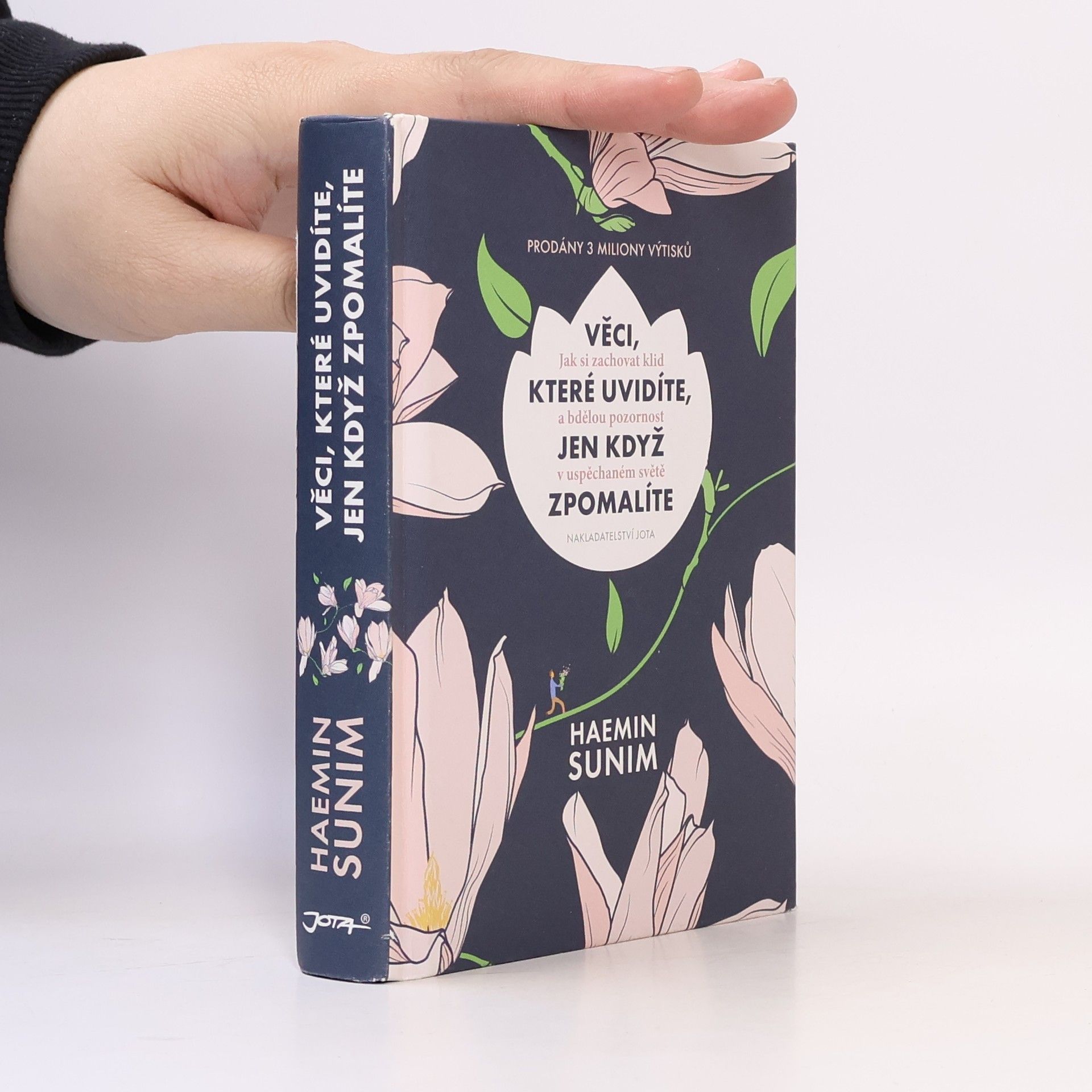 Sunim Haemin Věci, které uvidíte, jen když zpomalíte