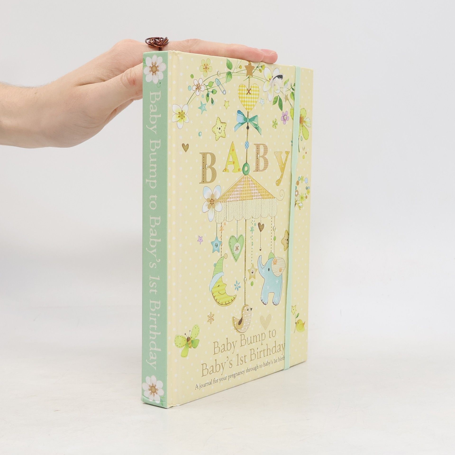 Autorenkollektiv Baby Bump to Baby's 1st Birthday