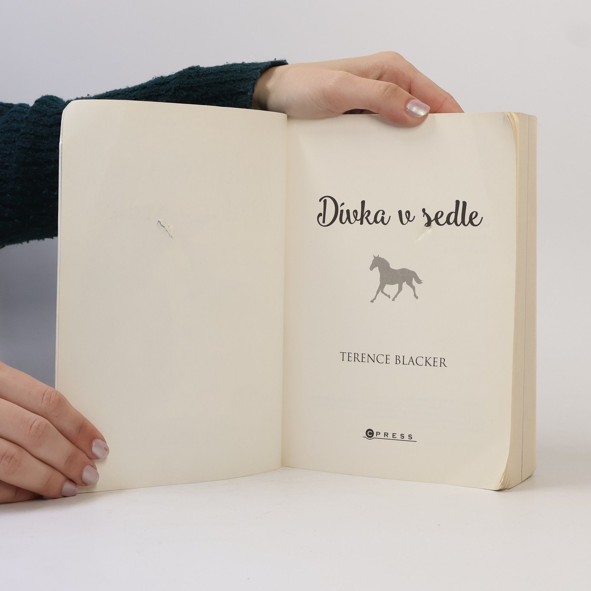 Terence Blacker Dívka v sedle