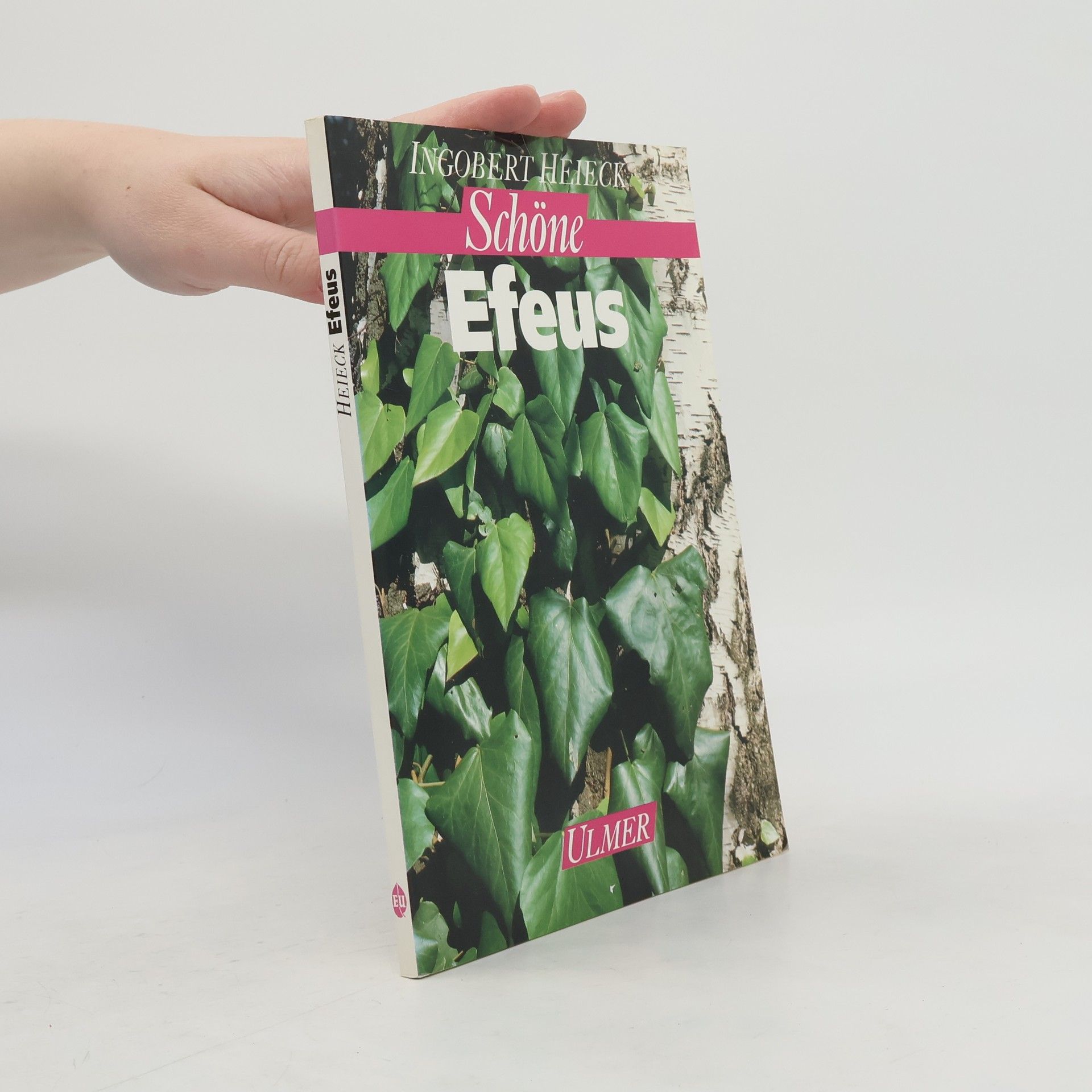 Ingobert Heieck Schöne Efeus