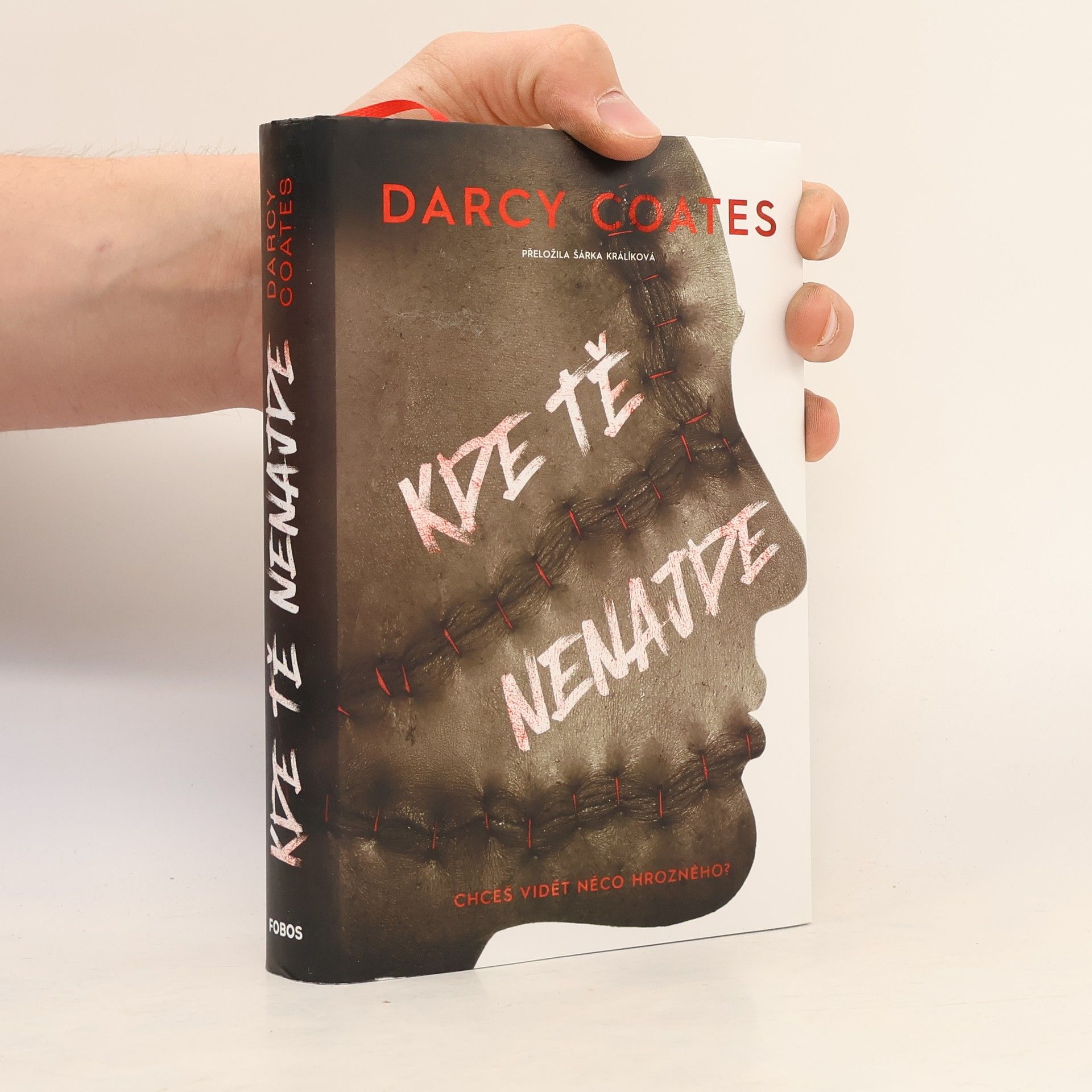 Darcy Coates Kde tě nenajde