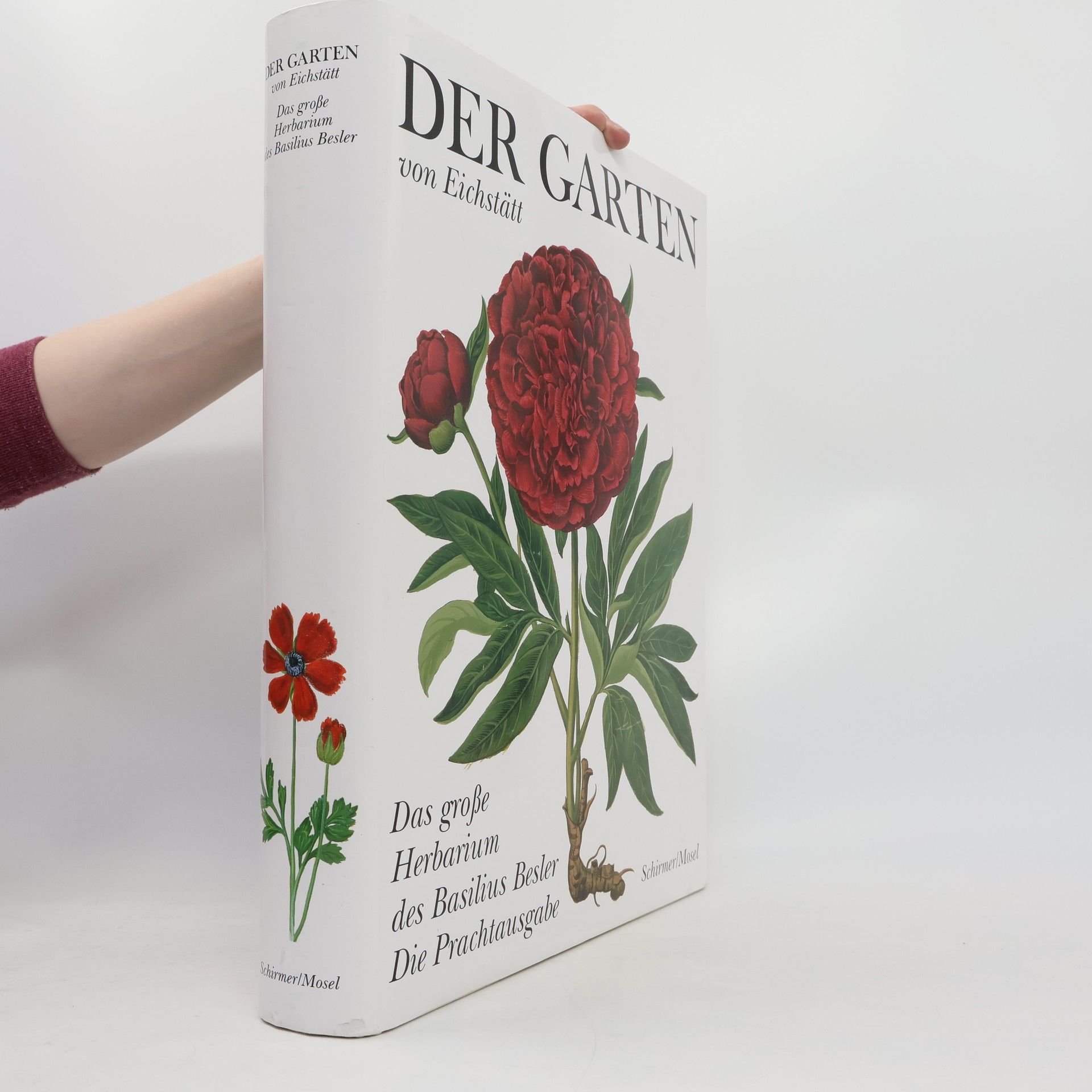 Basilius Besler Der Garten von Eichstätt