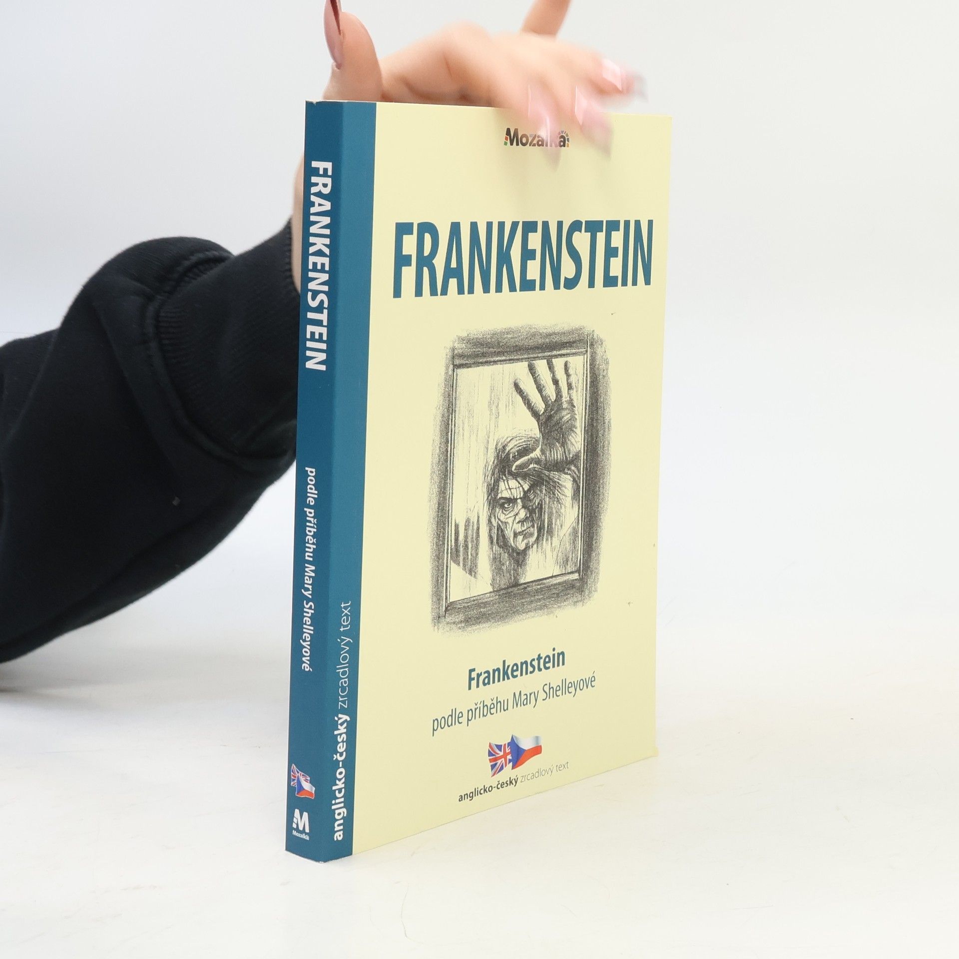 Mary Shelley Frankenstein
