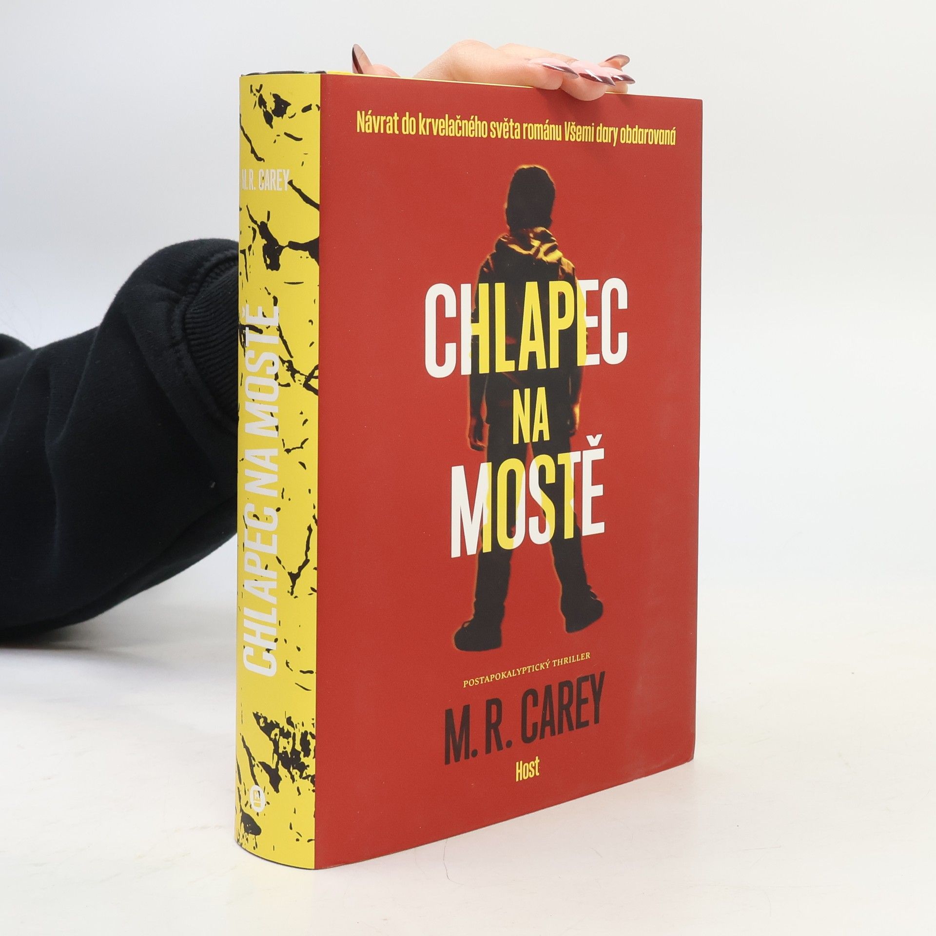 M. R. Carey Chlapec na mostě