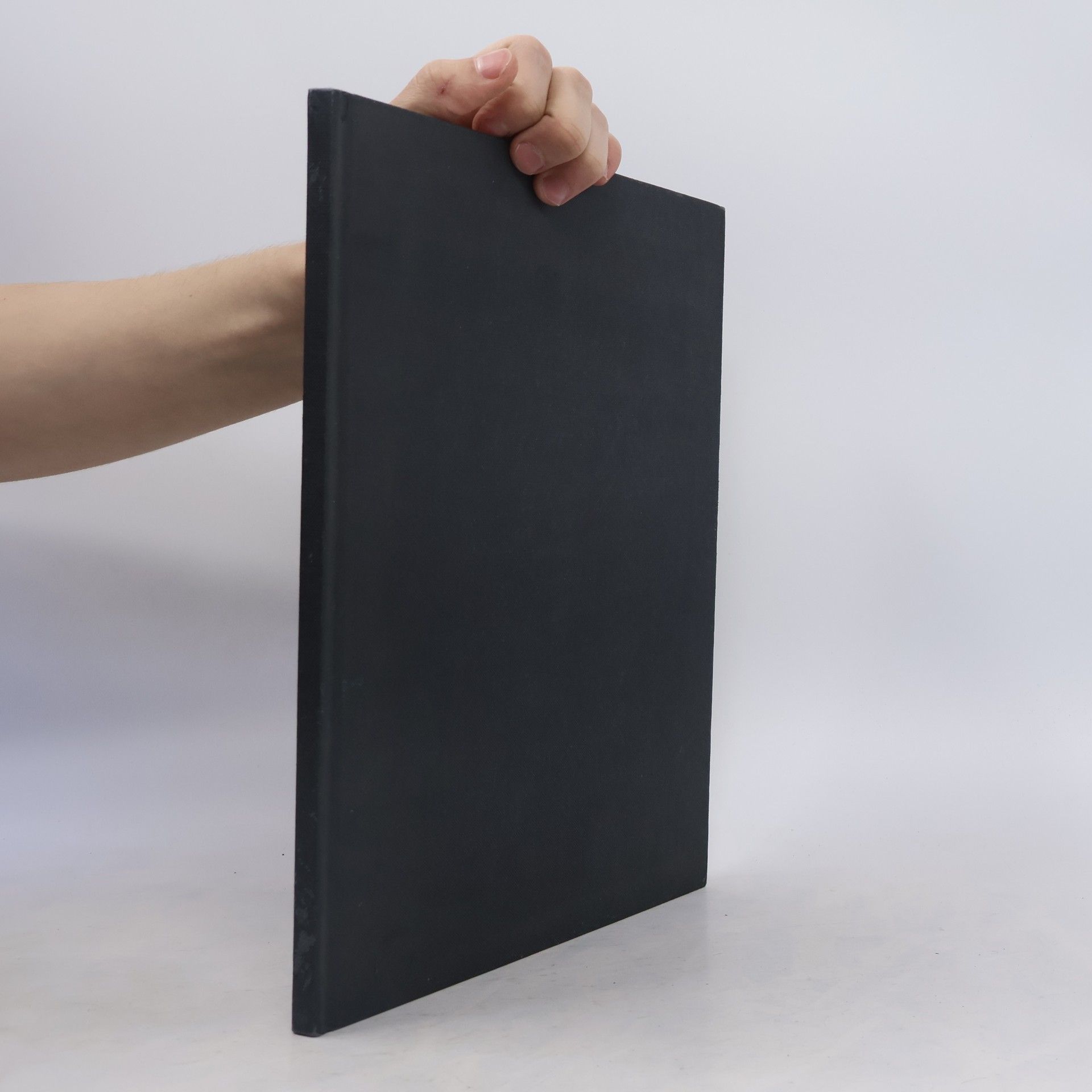 Heike K. Foltys Porsche Carrera