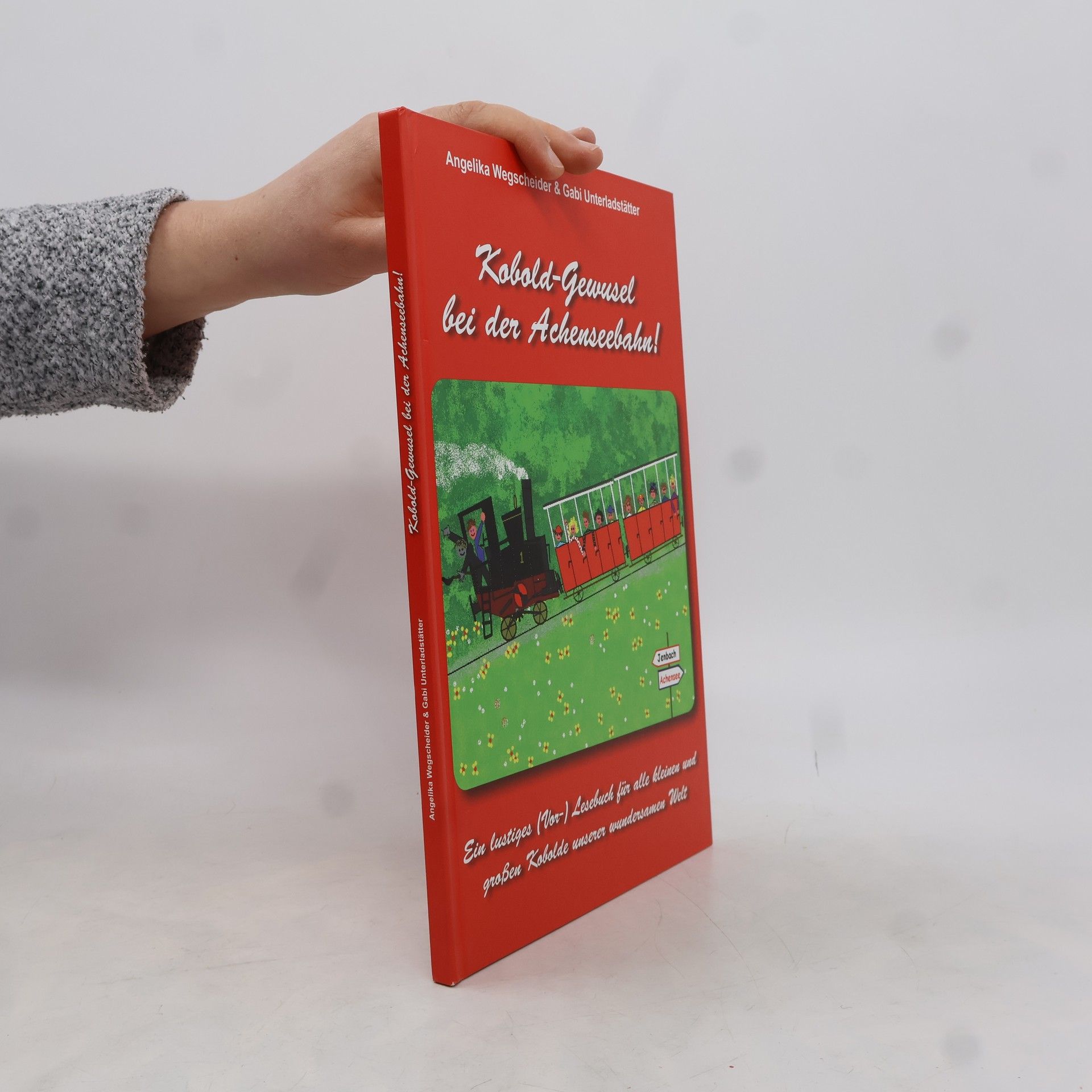 Gabi Unterladstätter Kobold-Gewusel bei der Achenseebahn!