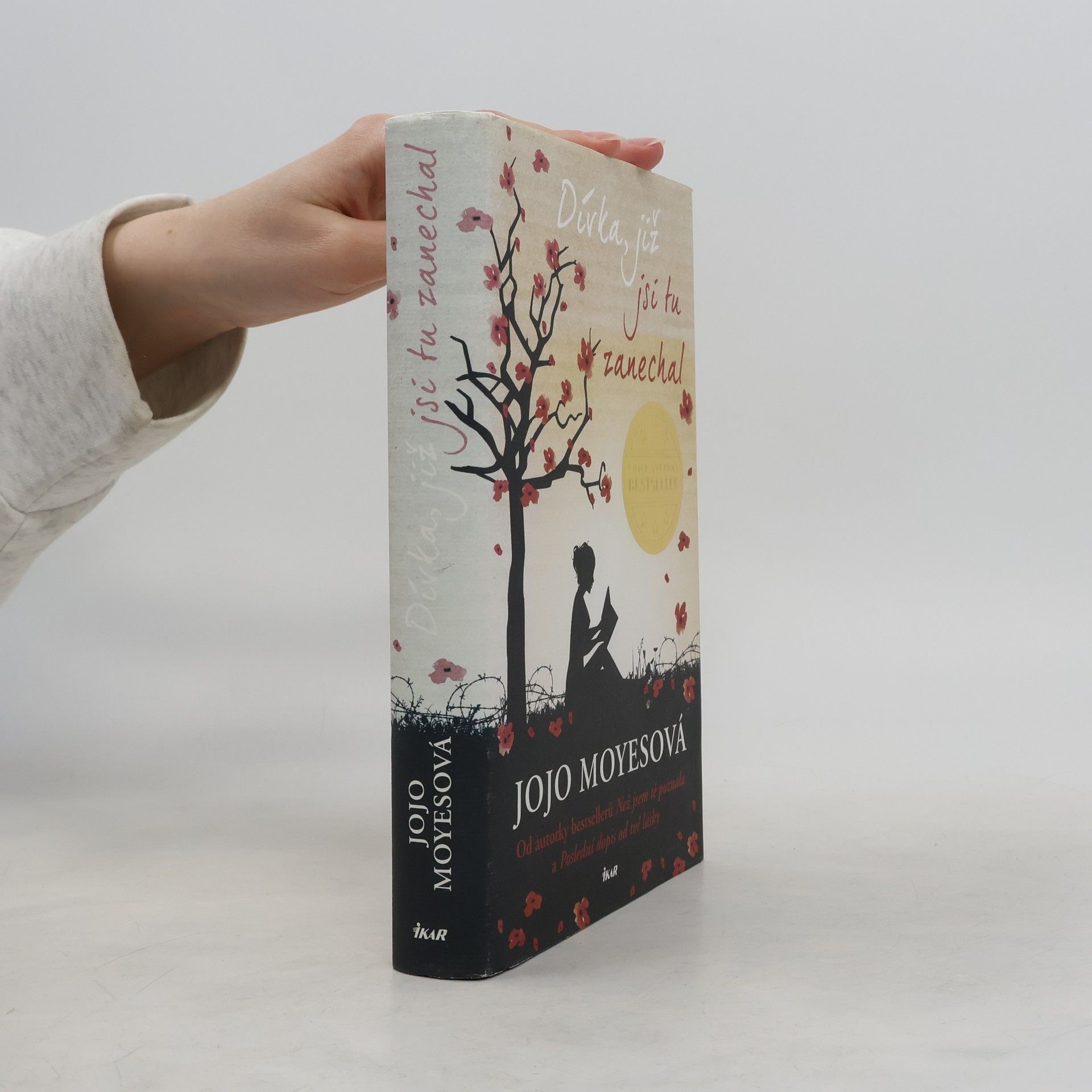 Jojo Moyes Dívka, již jsi tu zanechal