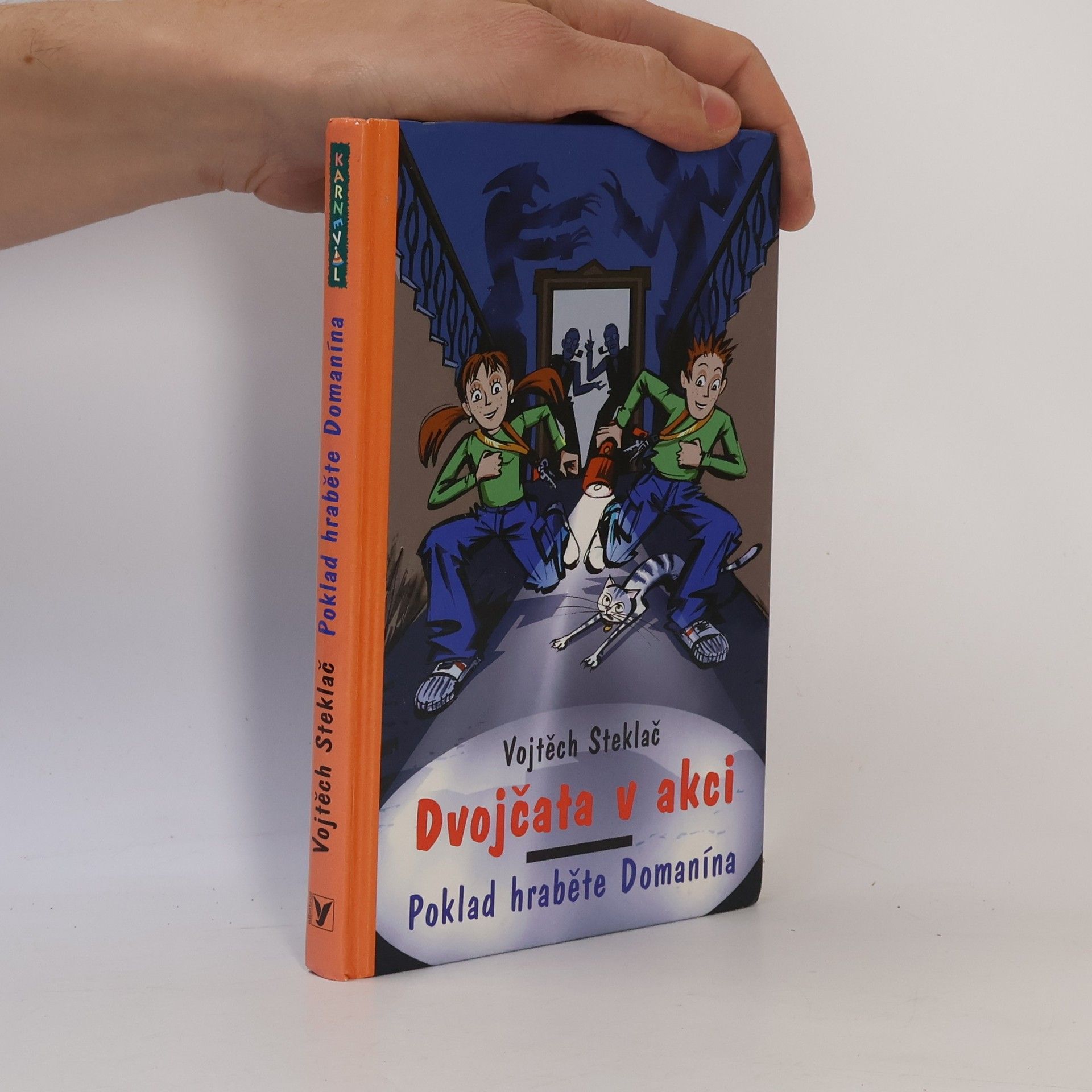 Vojtěch Steklač Dvojčata v akci. Poklad hraběte Domanína