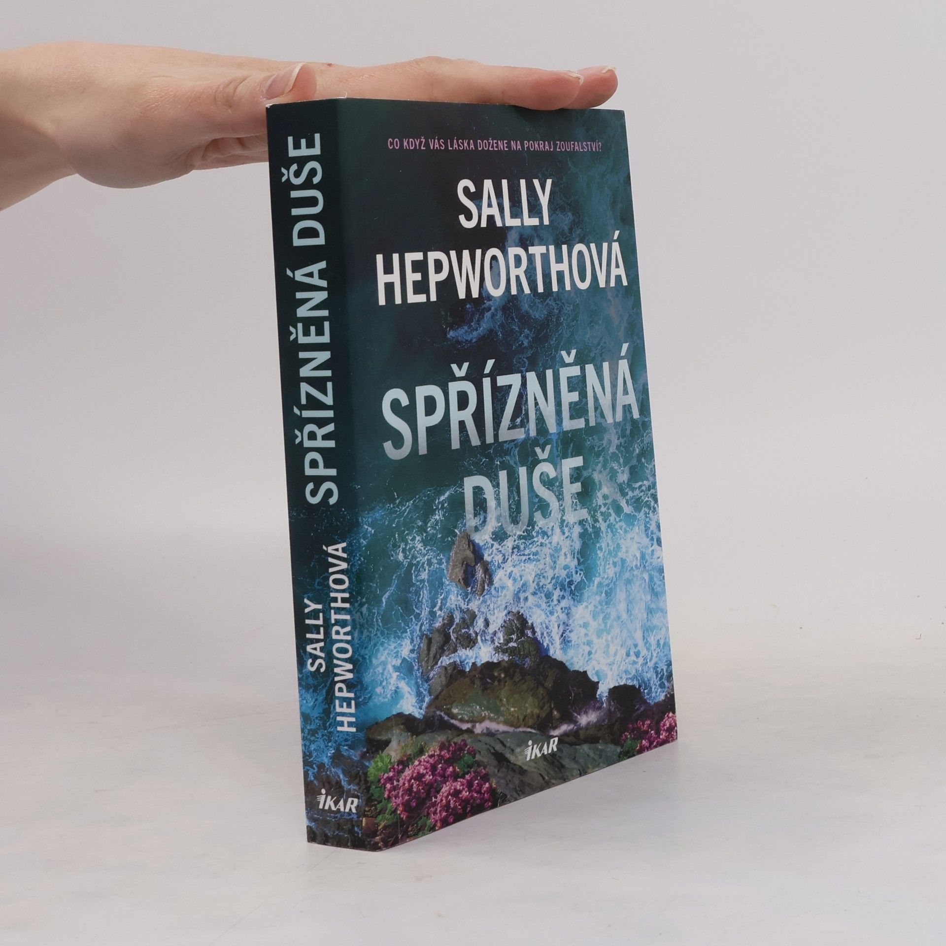Sally Hepworth Spřízněná duše