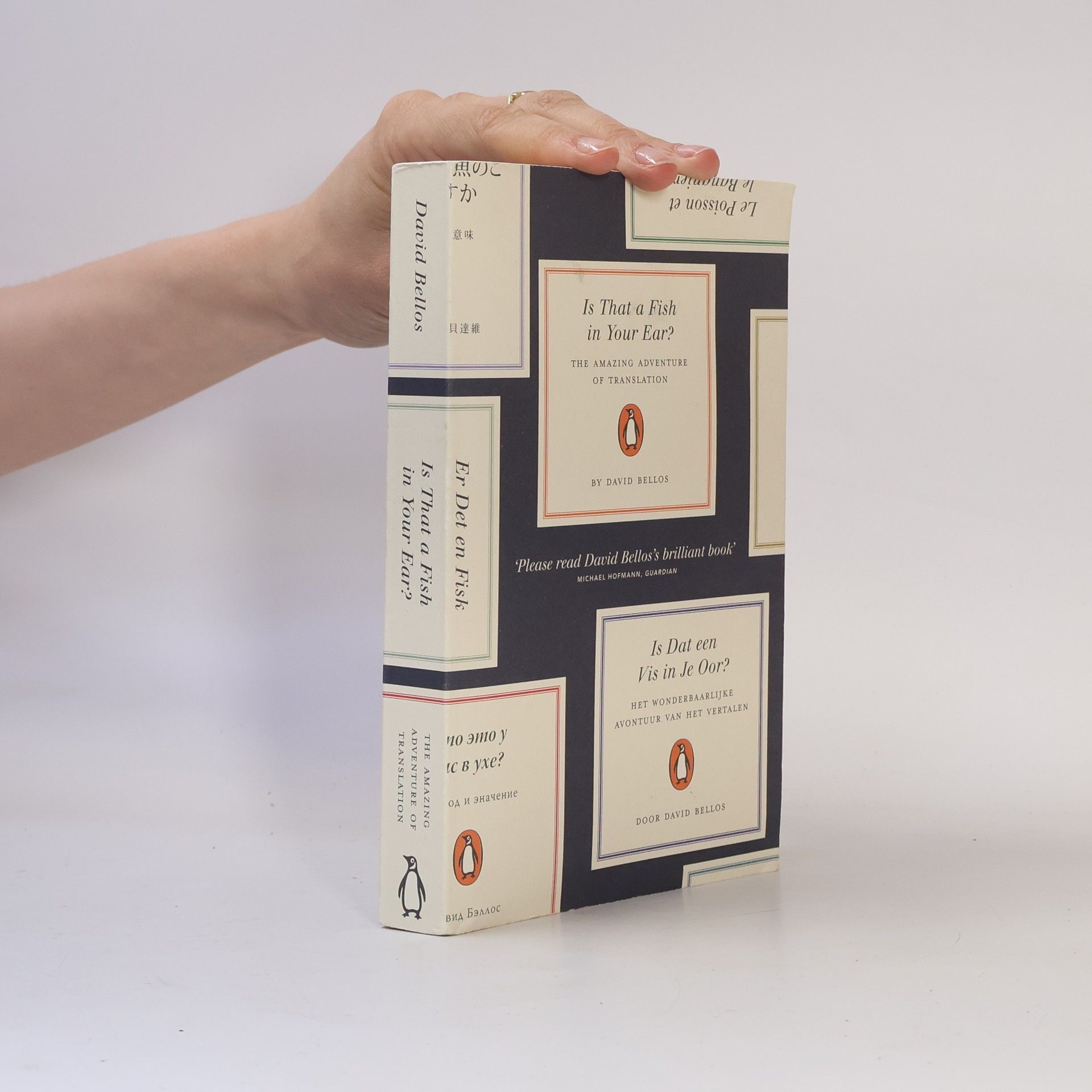 David Bellos Is That a Fish in Your Ear?